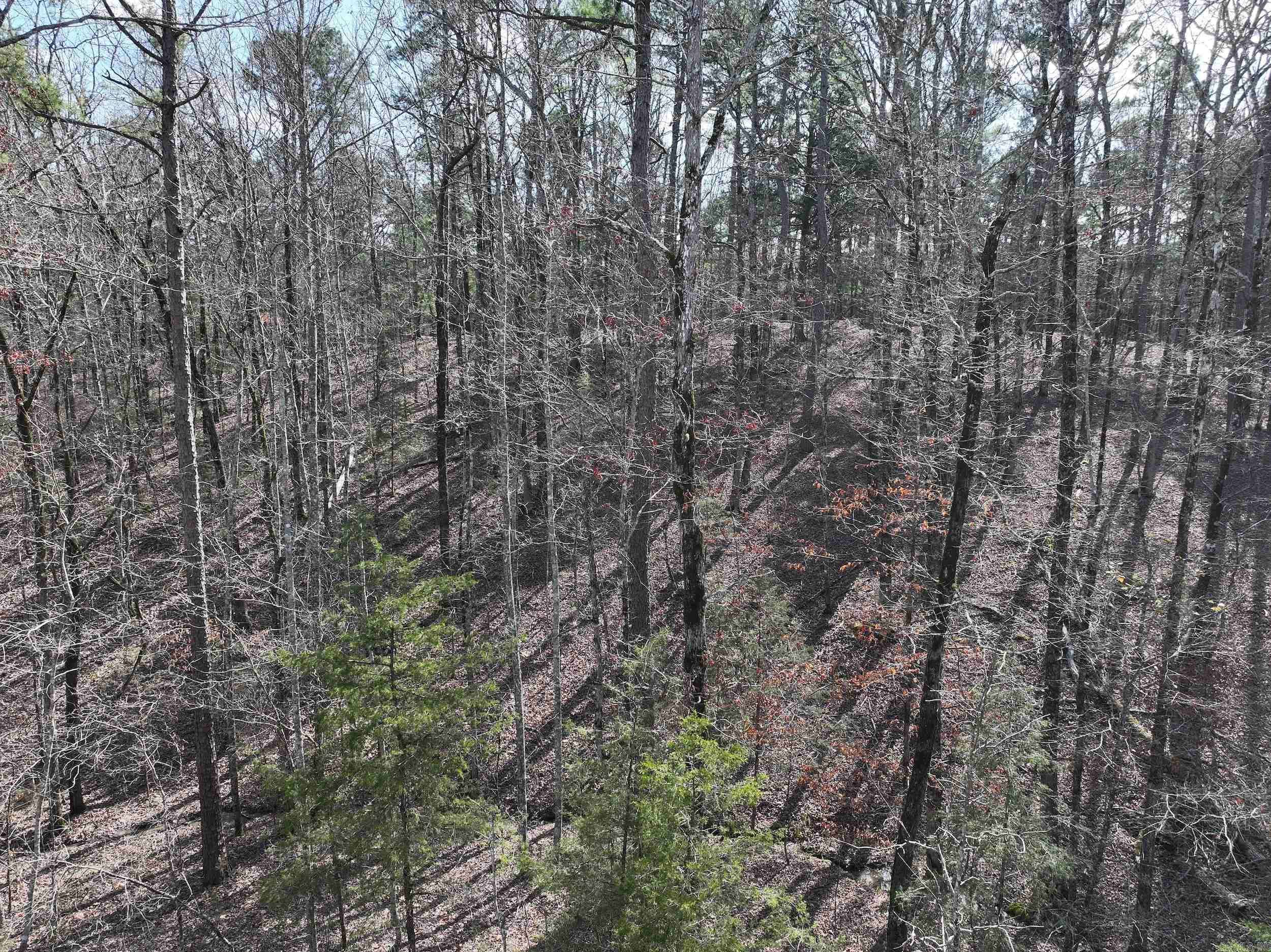 Mount Ida, AR 71957,205 Denby Cove