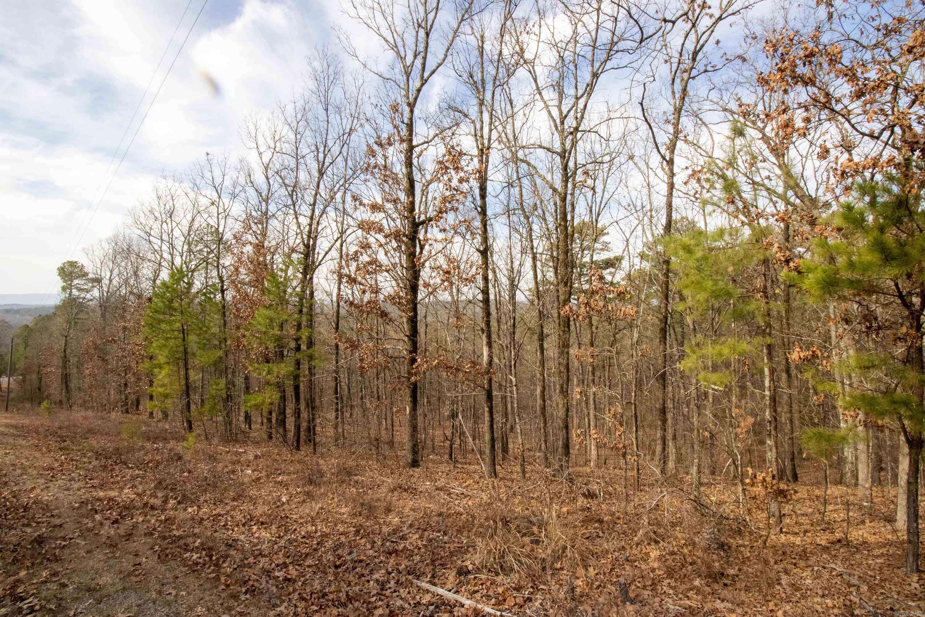 North Little Rock, AR 72118,Trapp Road