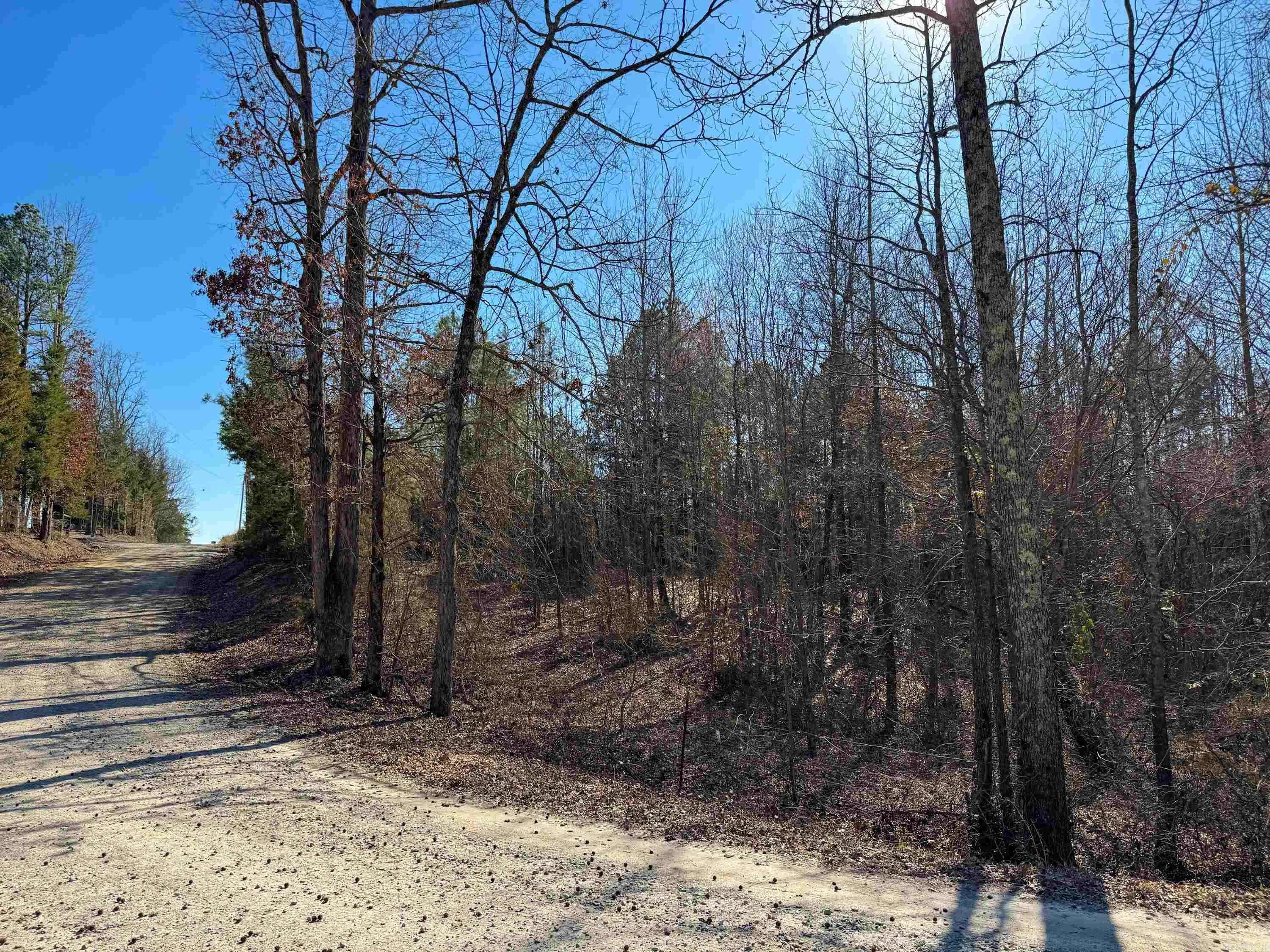 Quitman, AR 72131,100 Guy Lane
