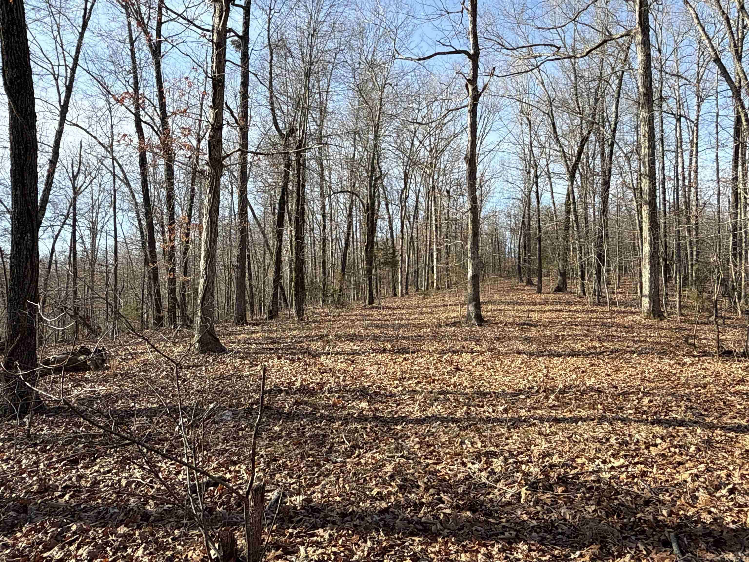 Marshall, AR 72650,00 Axel Drive