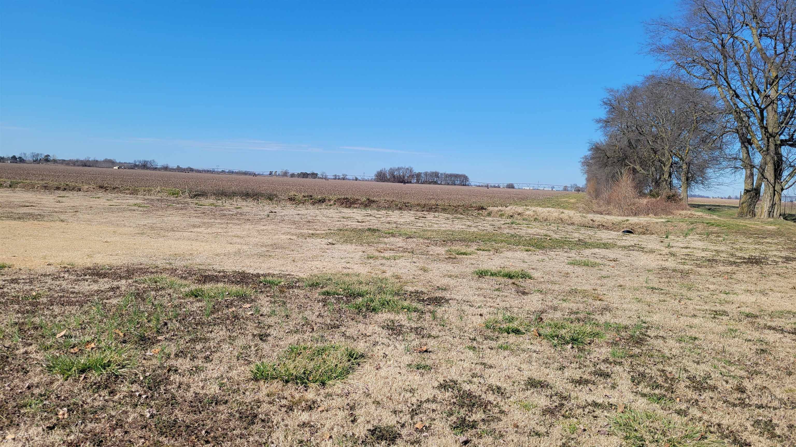 Bay, AR 72411,1 Fielder