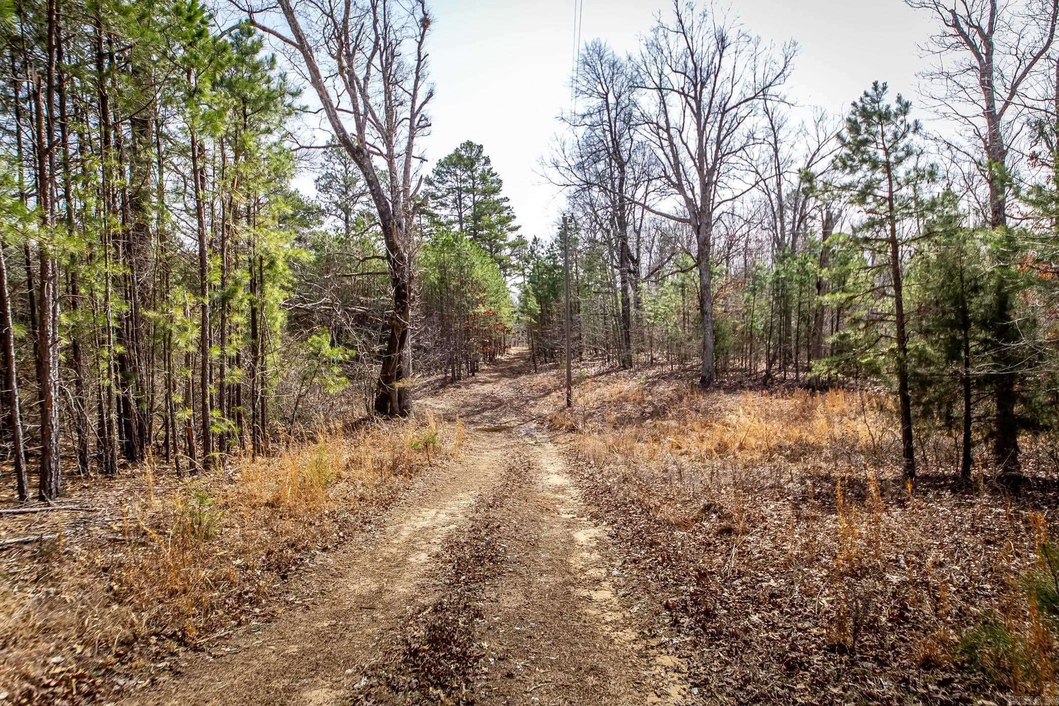 Dennard, AR 72645,240 Hipp Lane