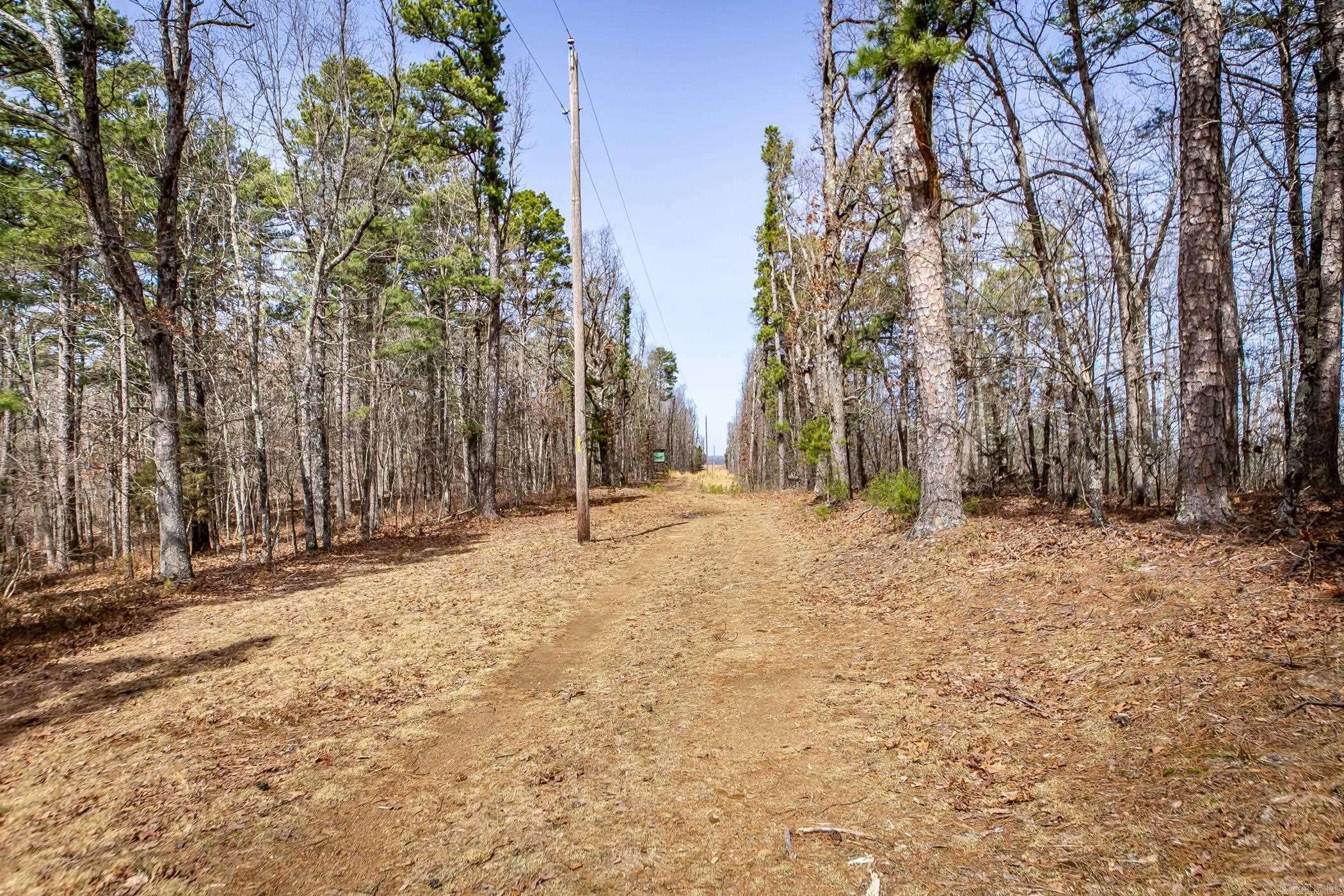 Dennard, AR 72645,240 Hipp Lane