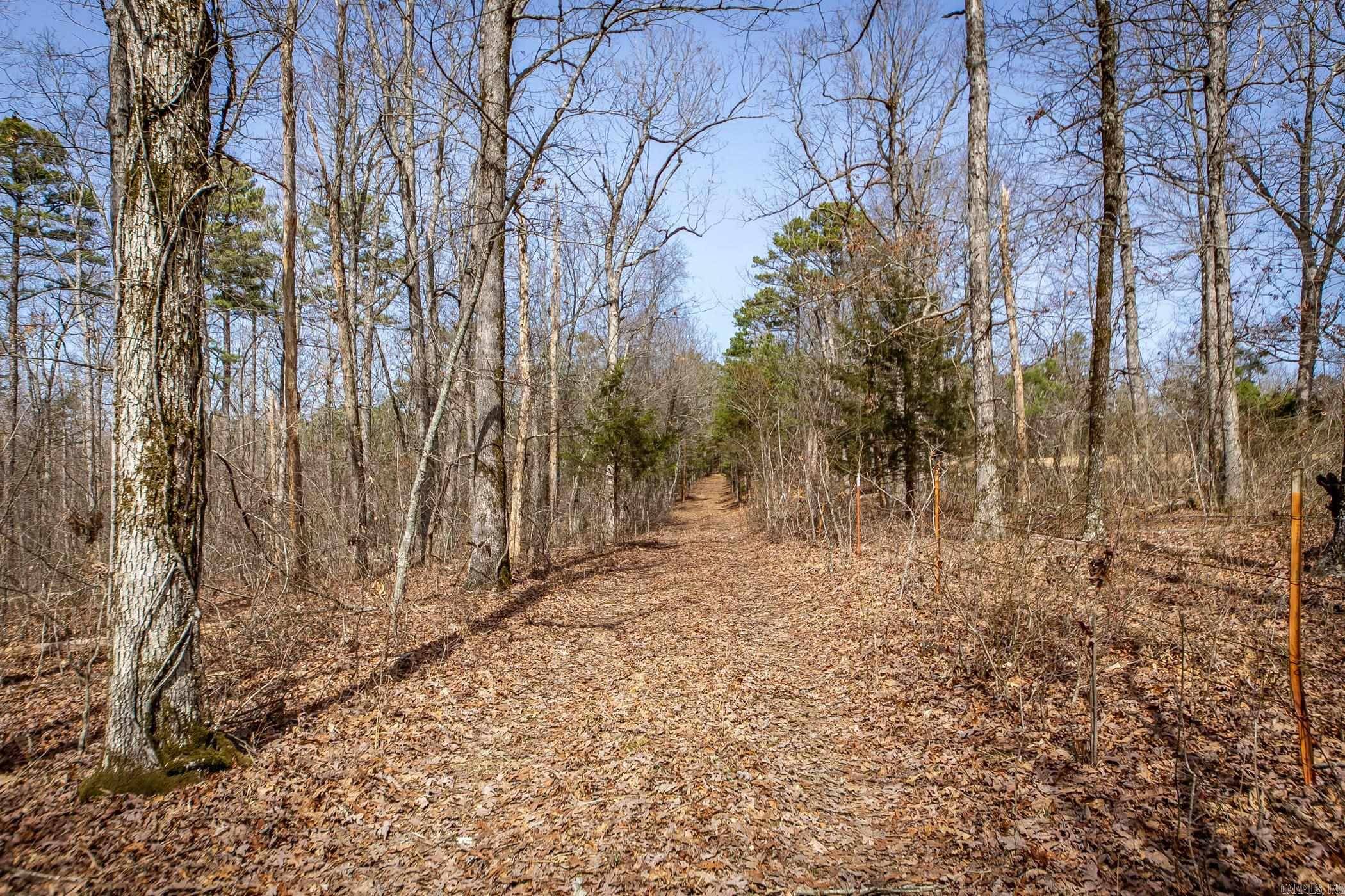 Dennard, AR 72645,240 Hipp Lane