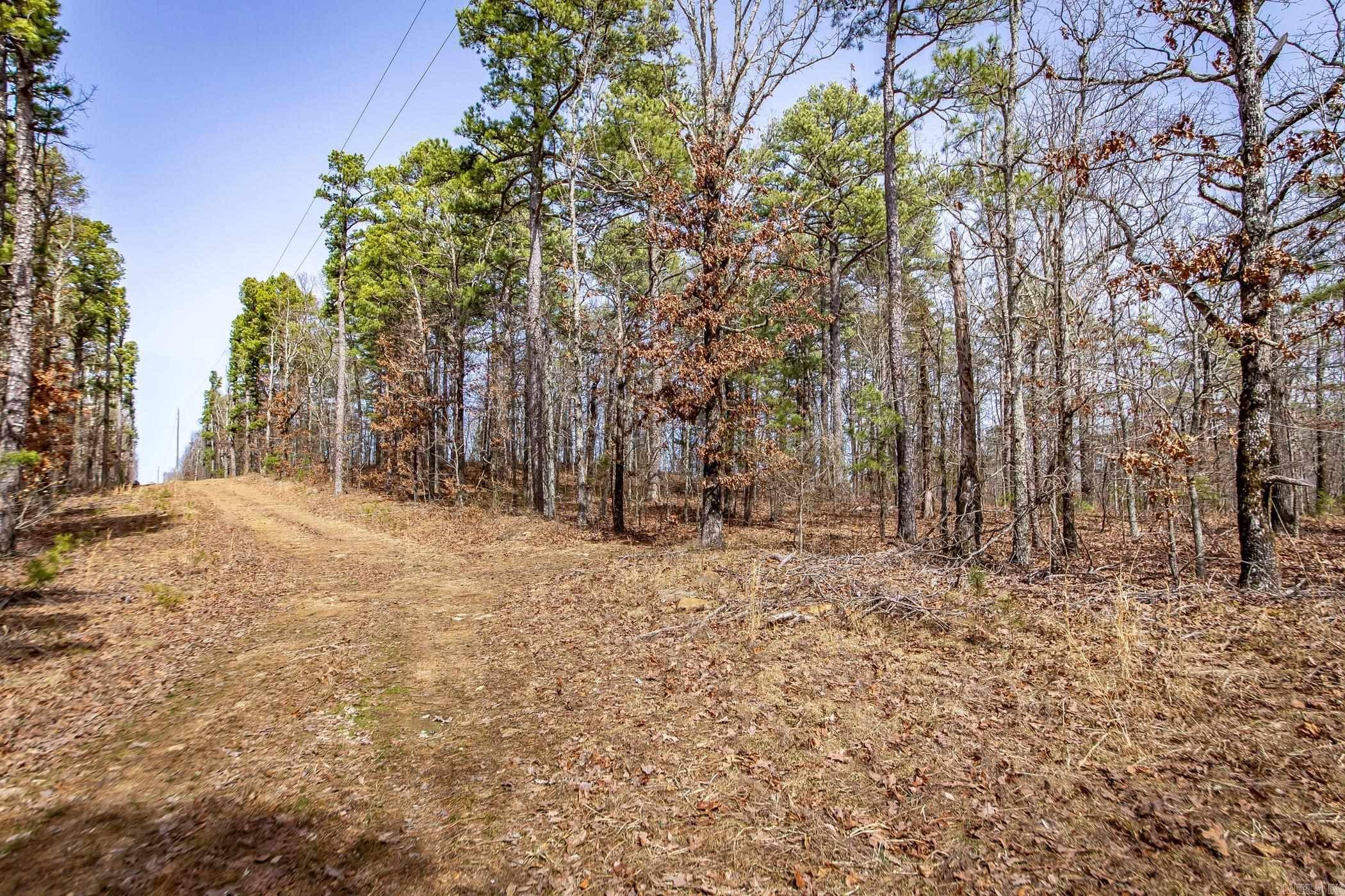 Dennard, AR 72645,240 Hipp Lane