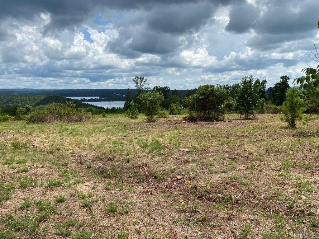 Edgemont, AR 72044,LOT 6 DONHAM Drive