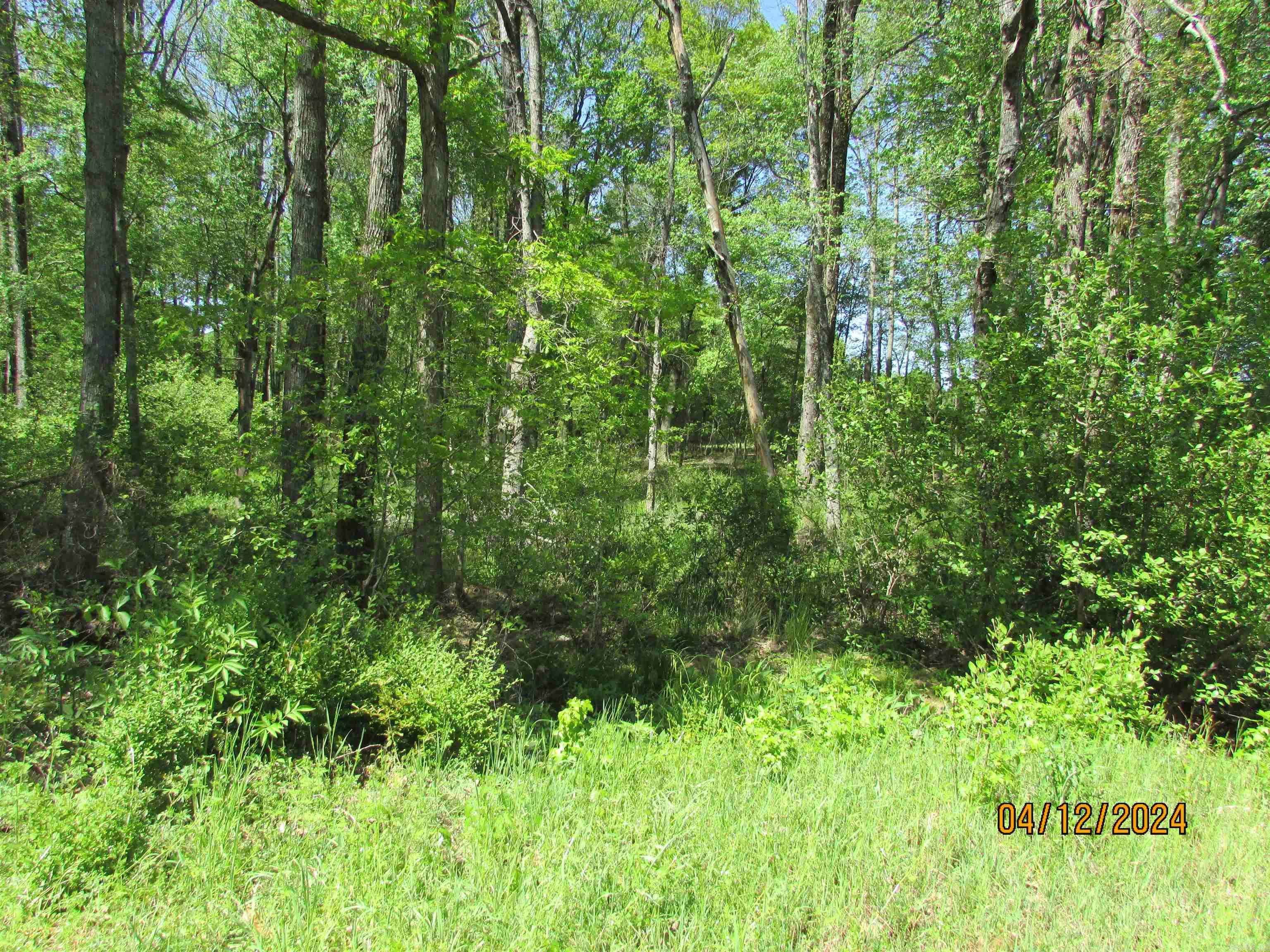 Cabot, AR 72023,0 Campground Rd