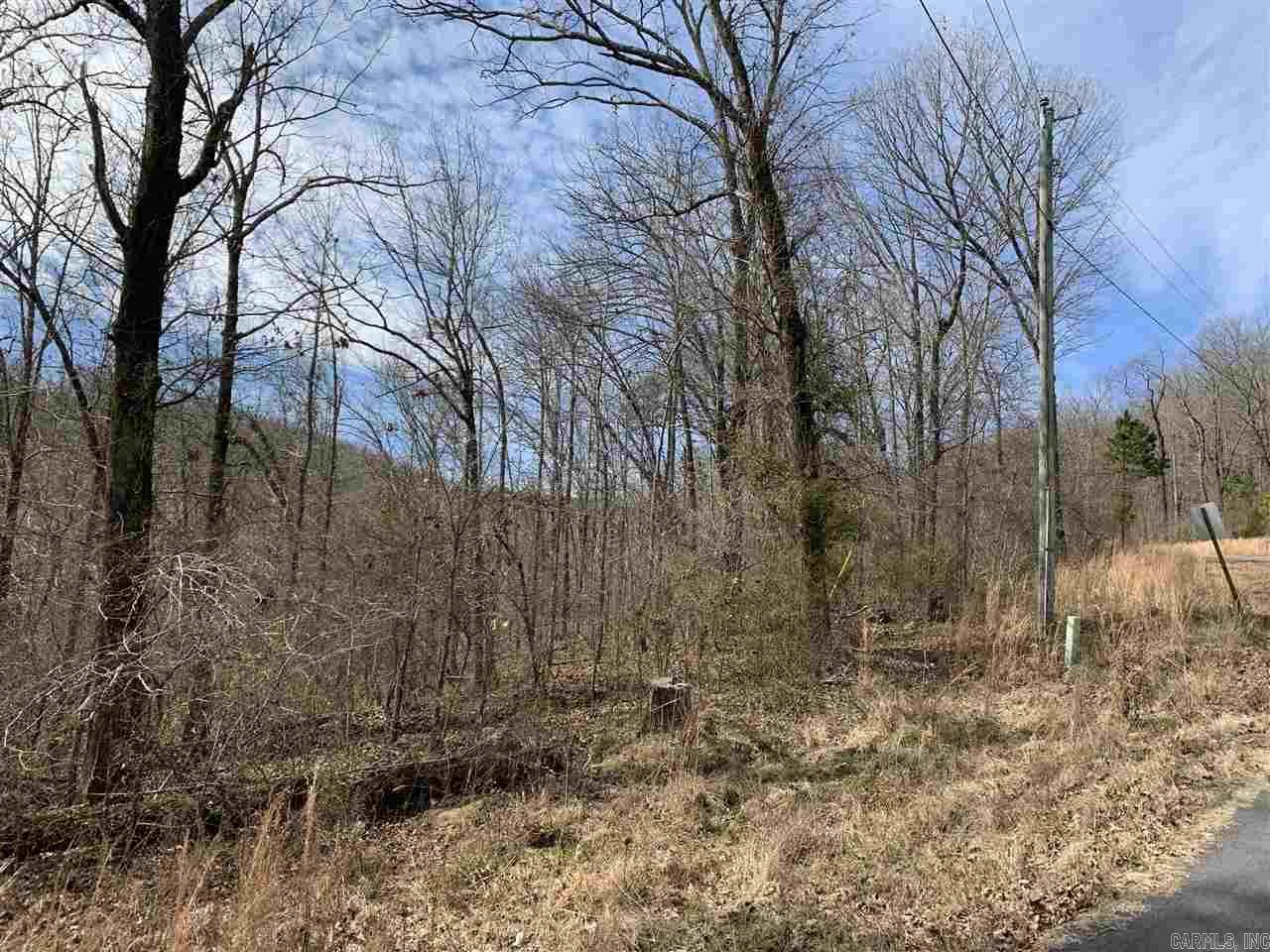 Edgemont, AR 72044,Lot 77 Watersedge Lane