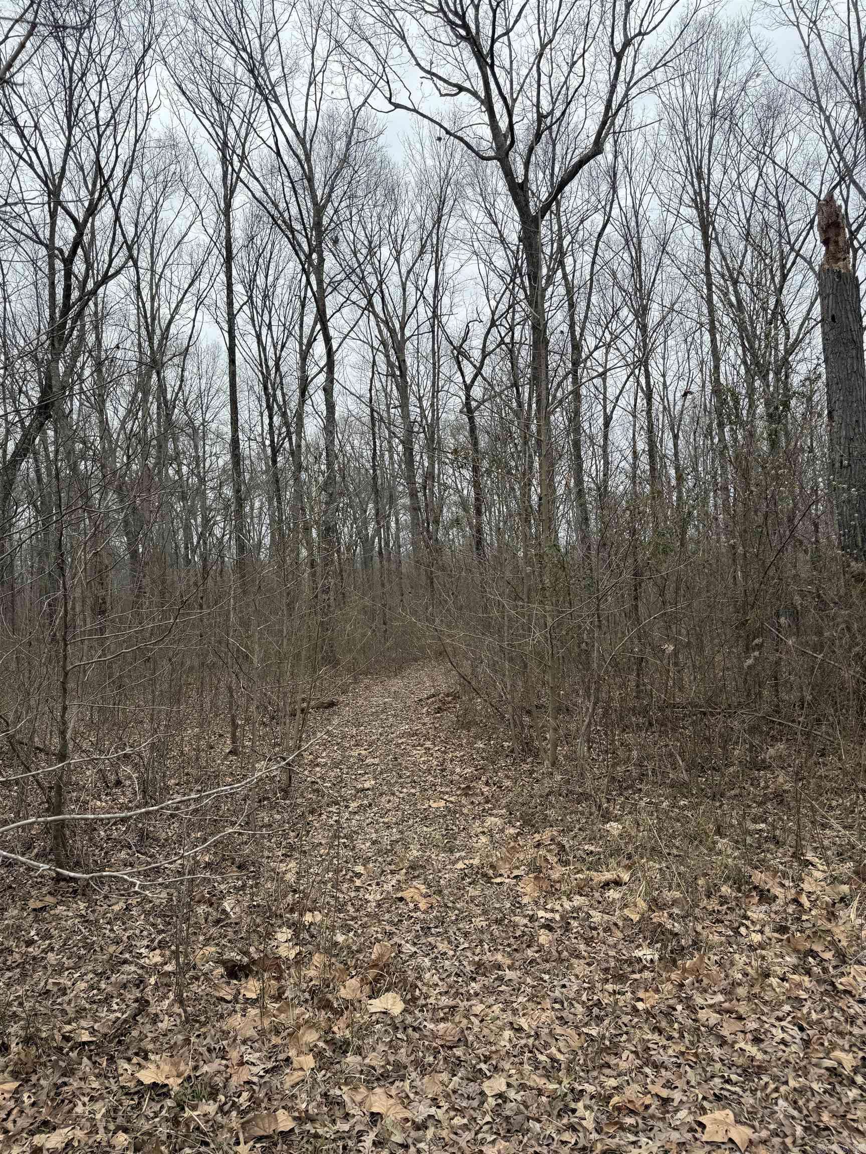 Ward, AR 72176,000 Maywood Drive