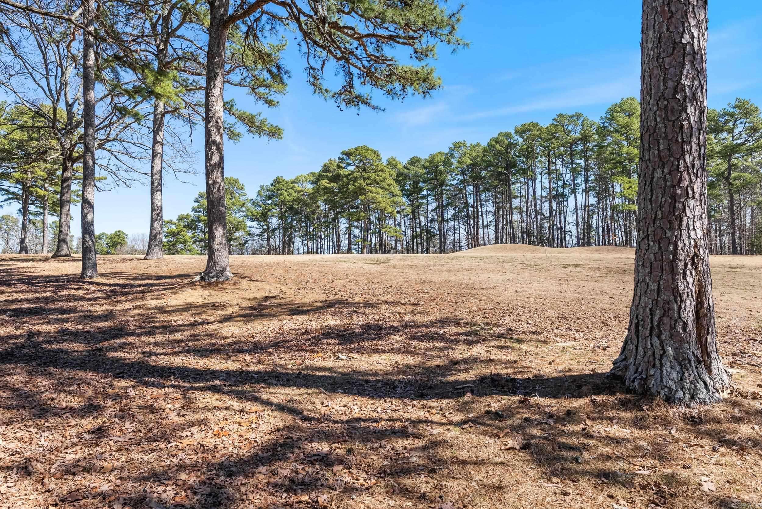 Fairfield Bay, AR 72088,315 Snead Drive