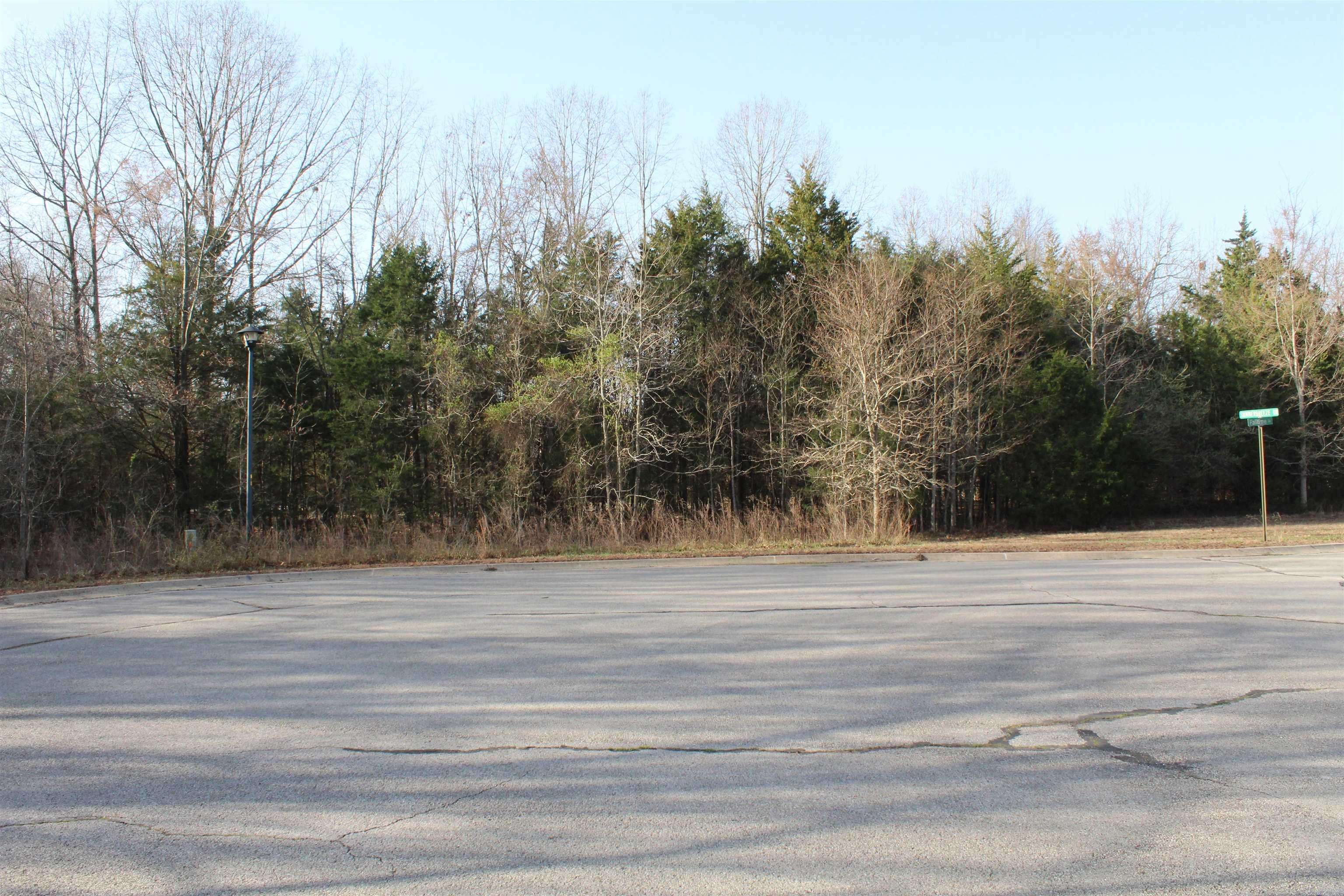 Bull Shoals, AR 72619,761-00013-00 Falltime Drive