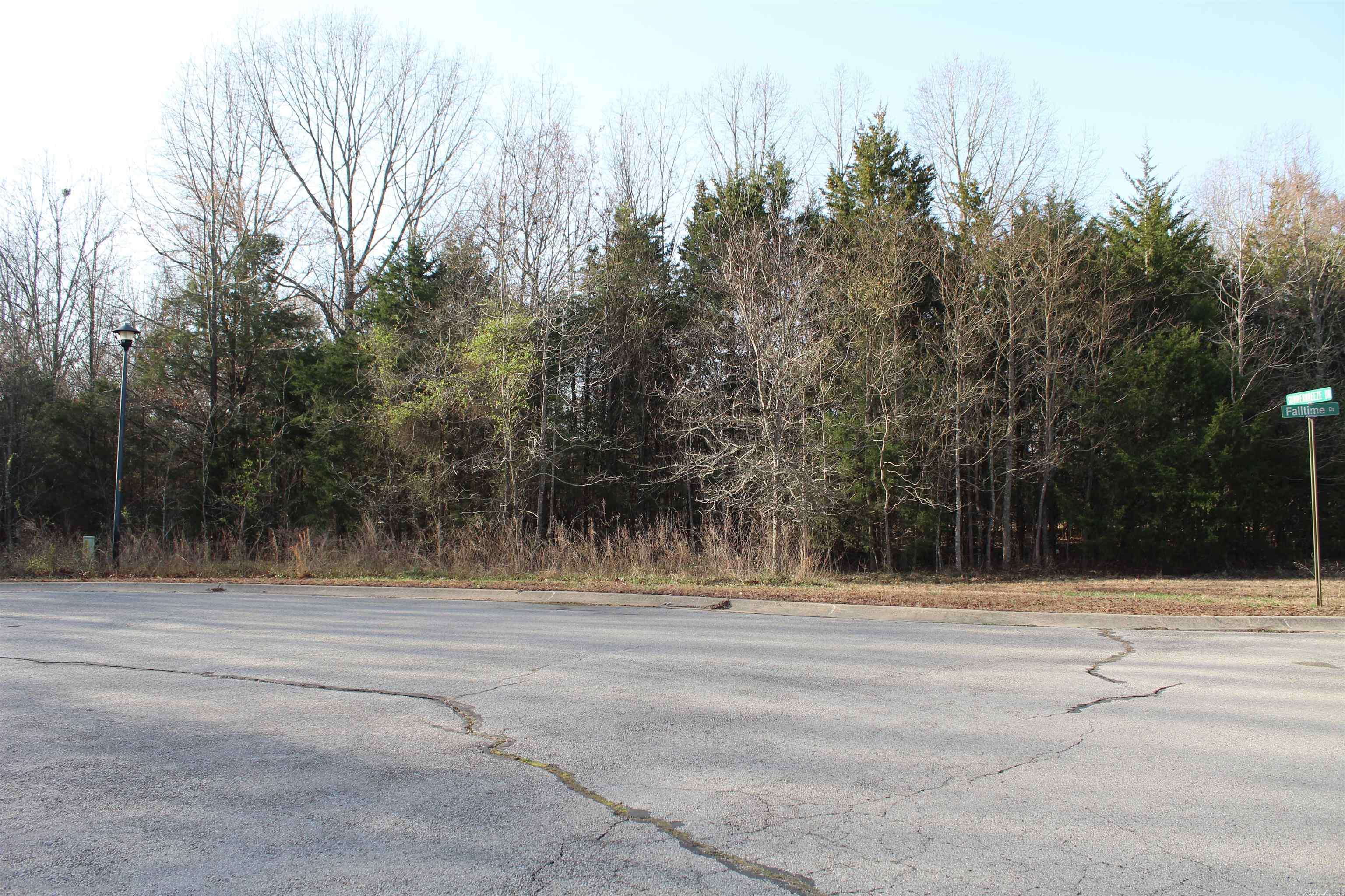 Bull Shoals, AR 72619,761-00013-00 Falltime Drive