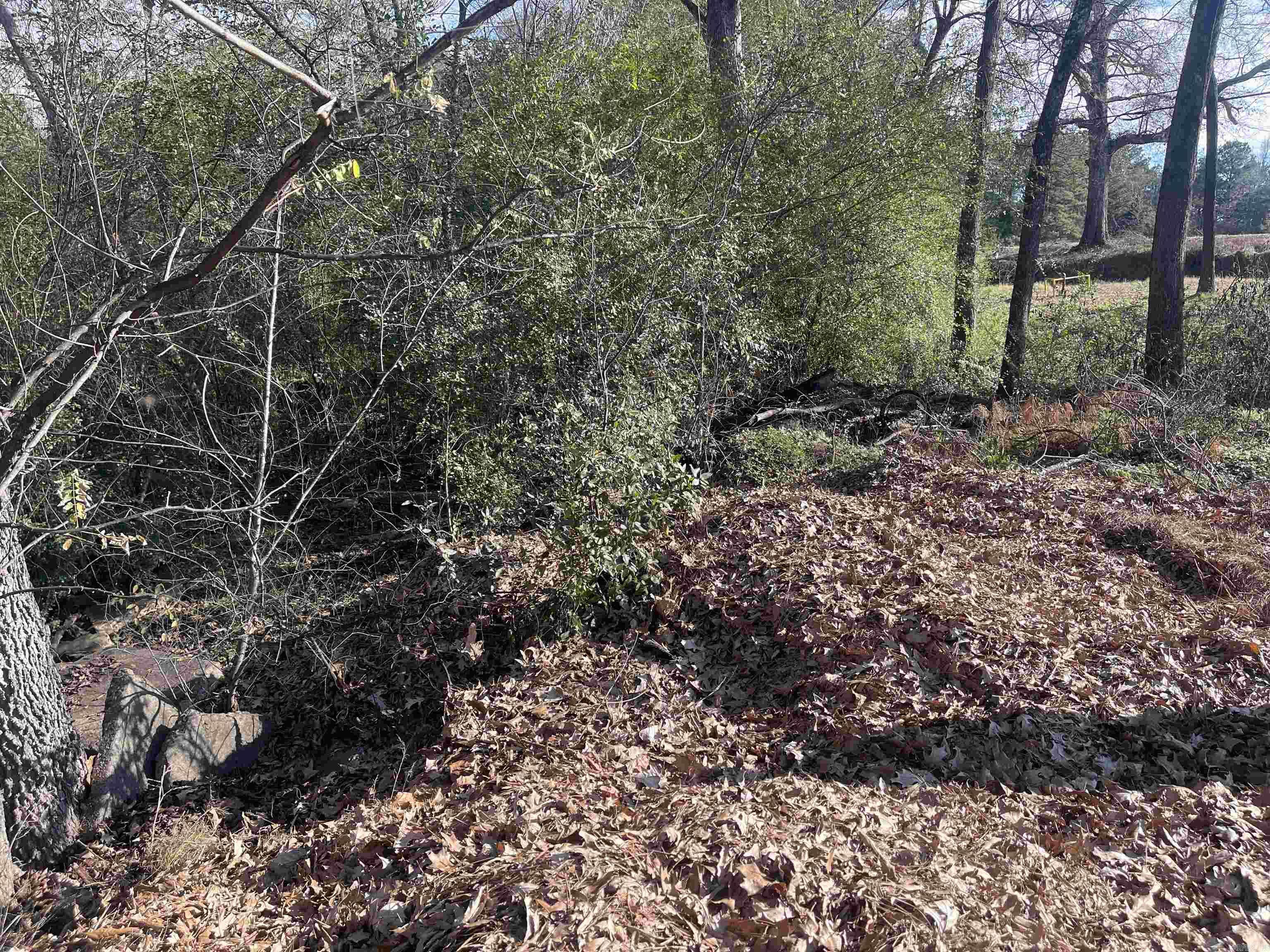 De Queen, AR 71832,TBD E Stillwell Avenue