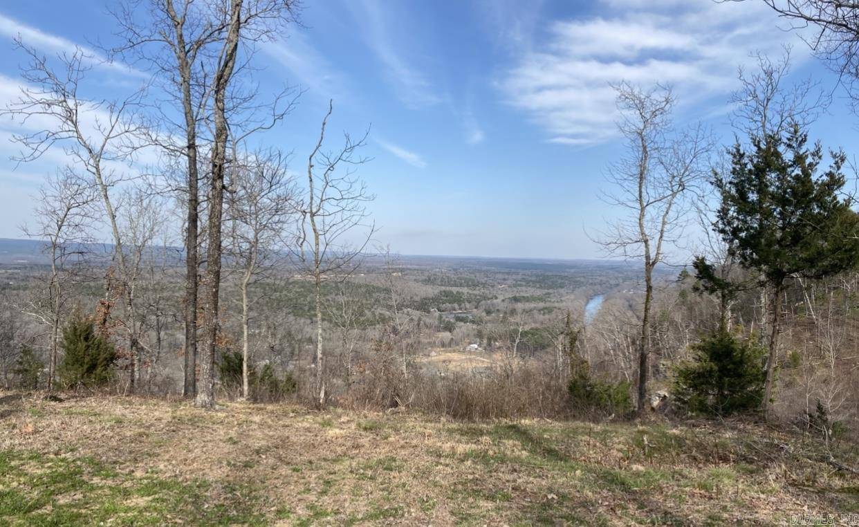 Heber Springs, AR 72543,00 River Bluff Road