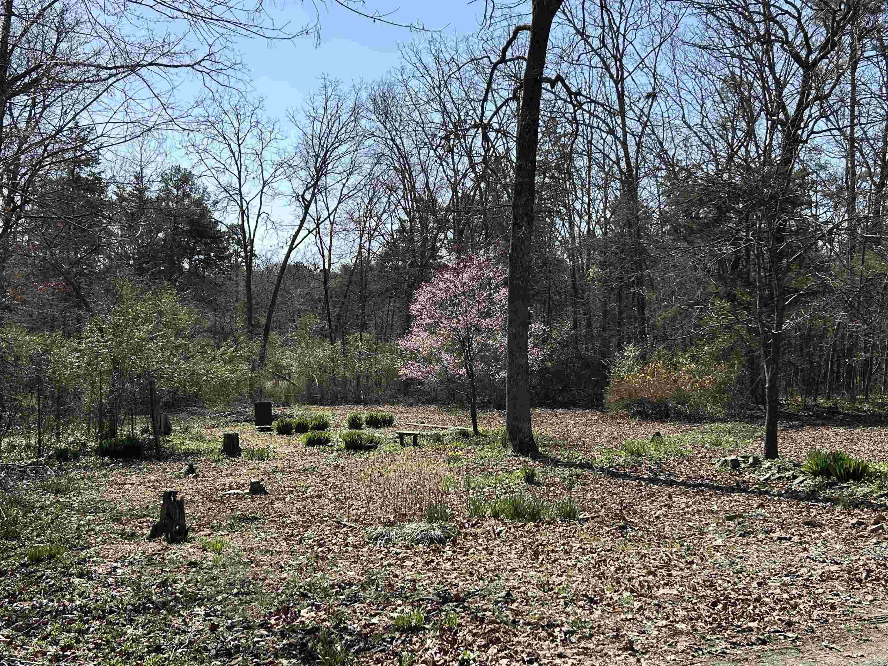 Clinton, AR 72031,207 Marpen