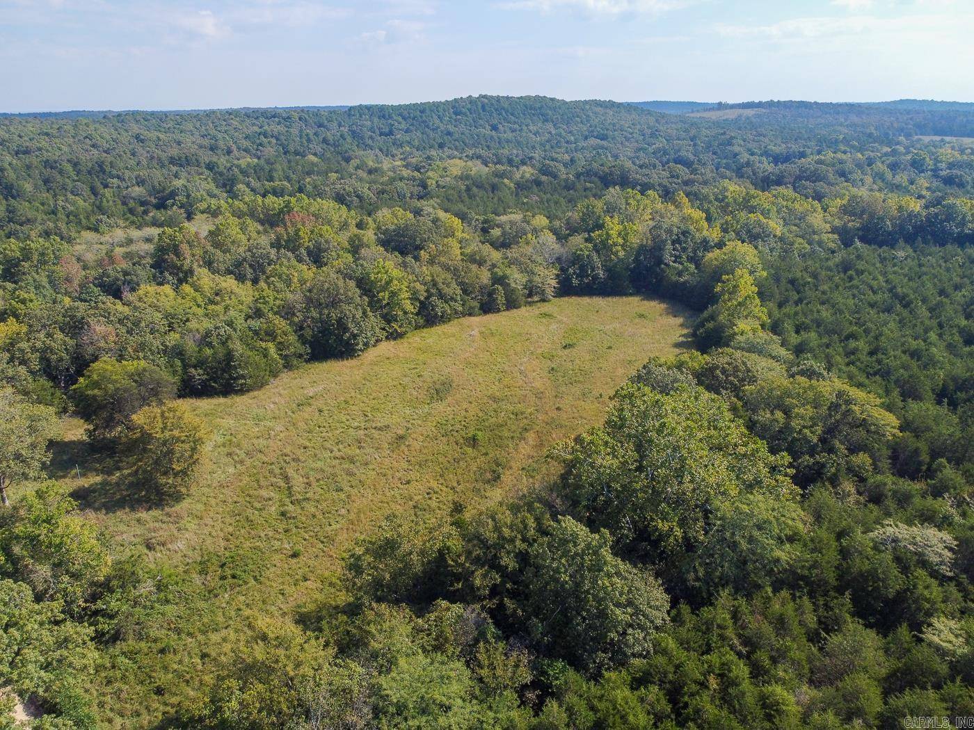 Cave City, AR 72521,132 acres E Cardinal East Rd Road