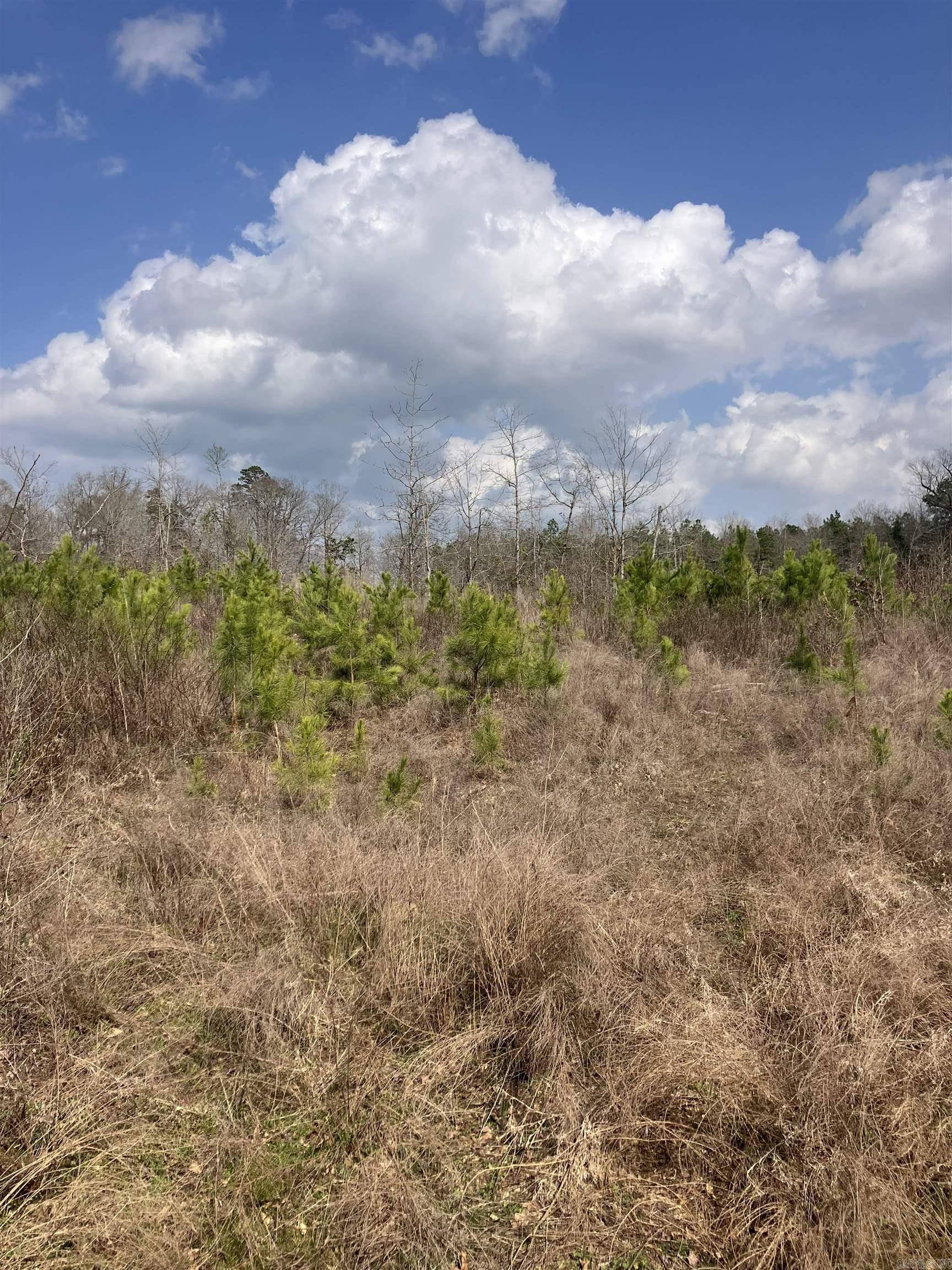 Nashville, AR 71852,TBD Hempstead 27 S