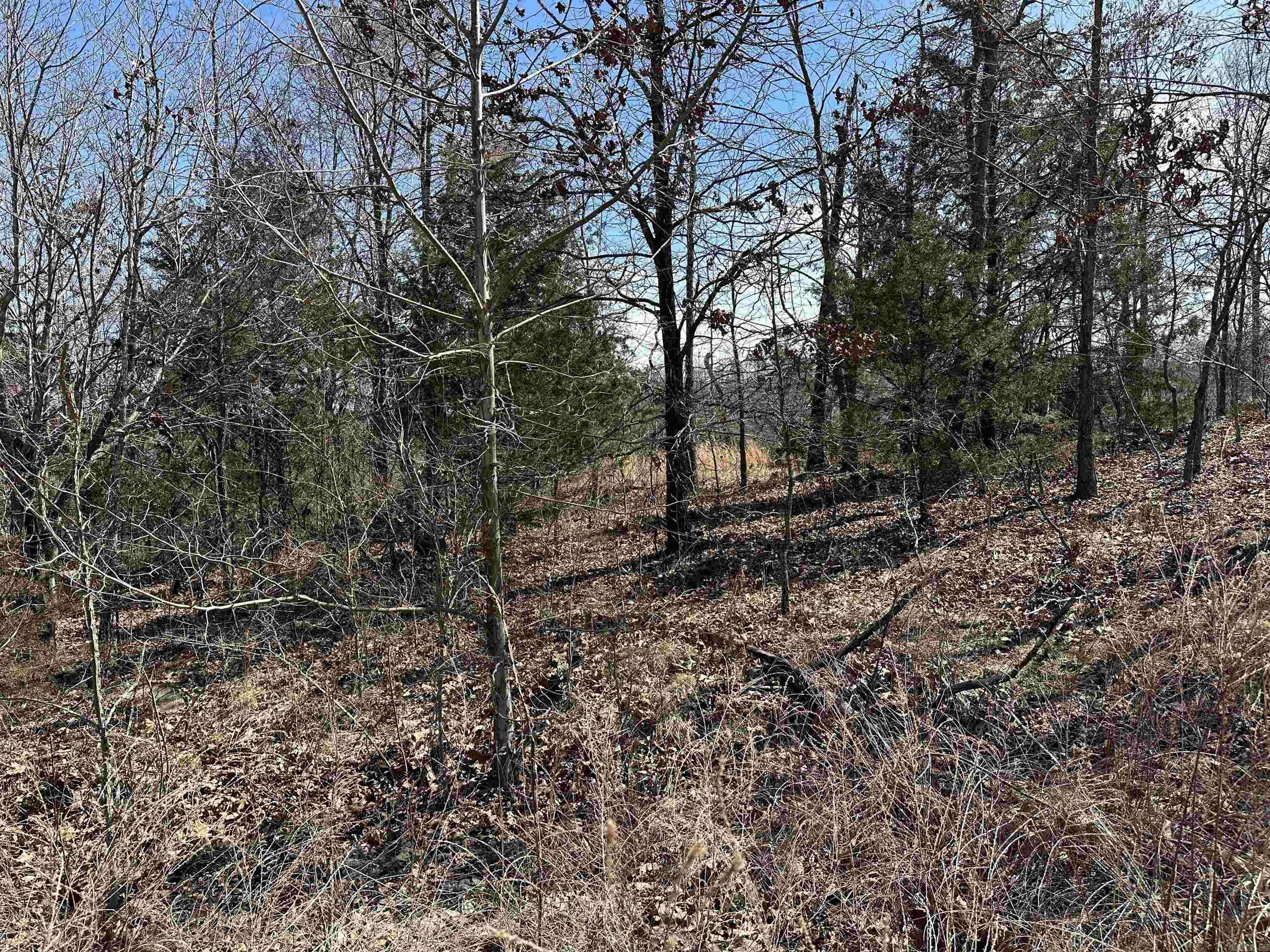 Yellville, AR 72687,Lot 2 Deer Meadows Lane