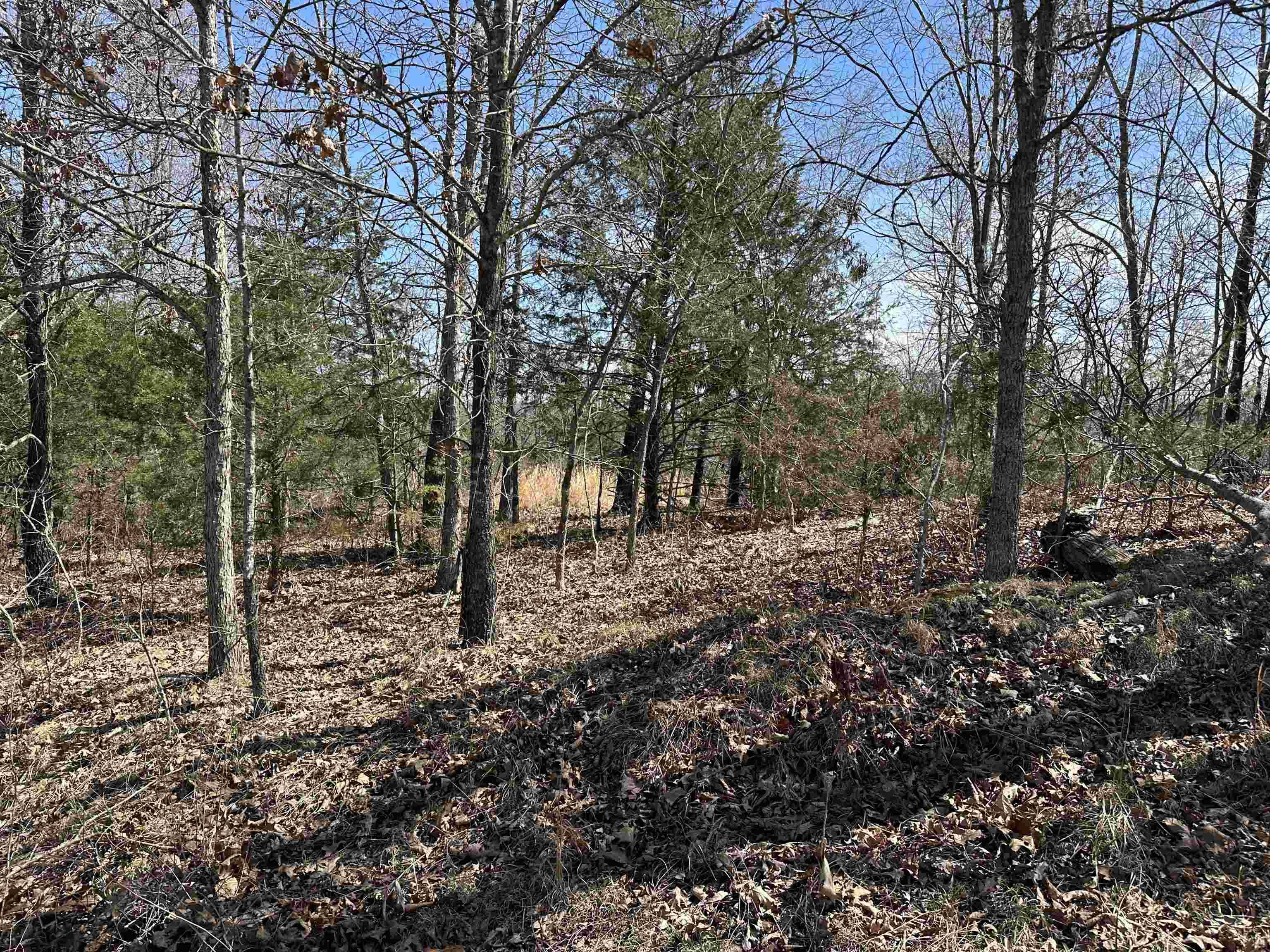 Yellville, AR 72687,Lot 2 Deer Meadows Lane