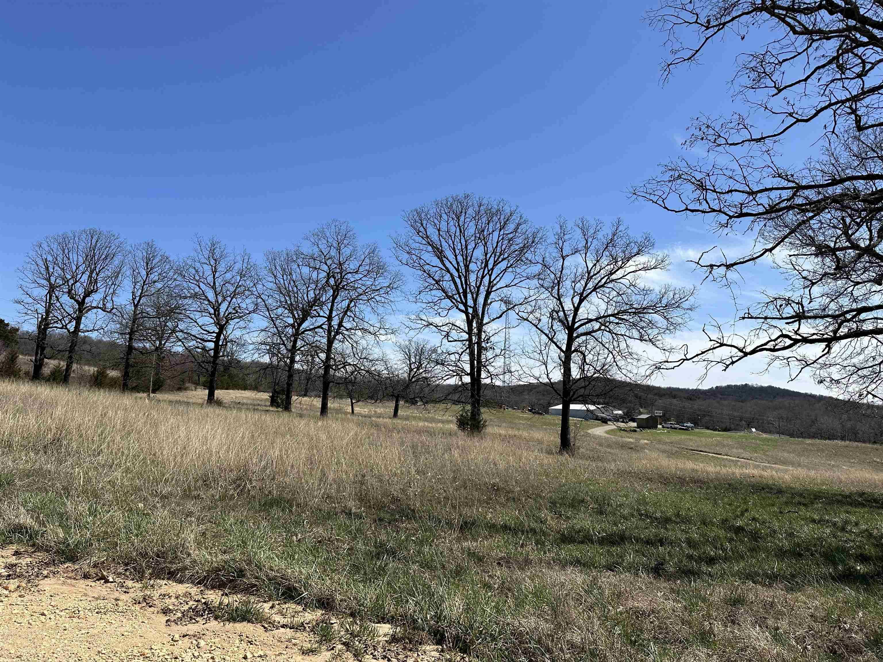 Yellville, AR 72687,Lot 4 Deer Meadows Lane