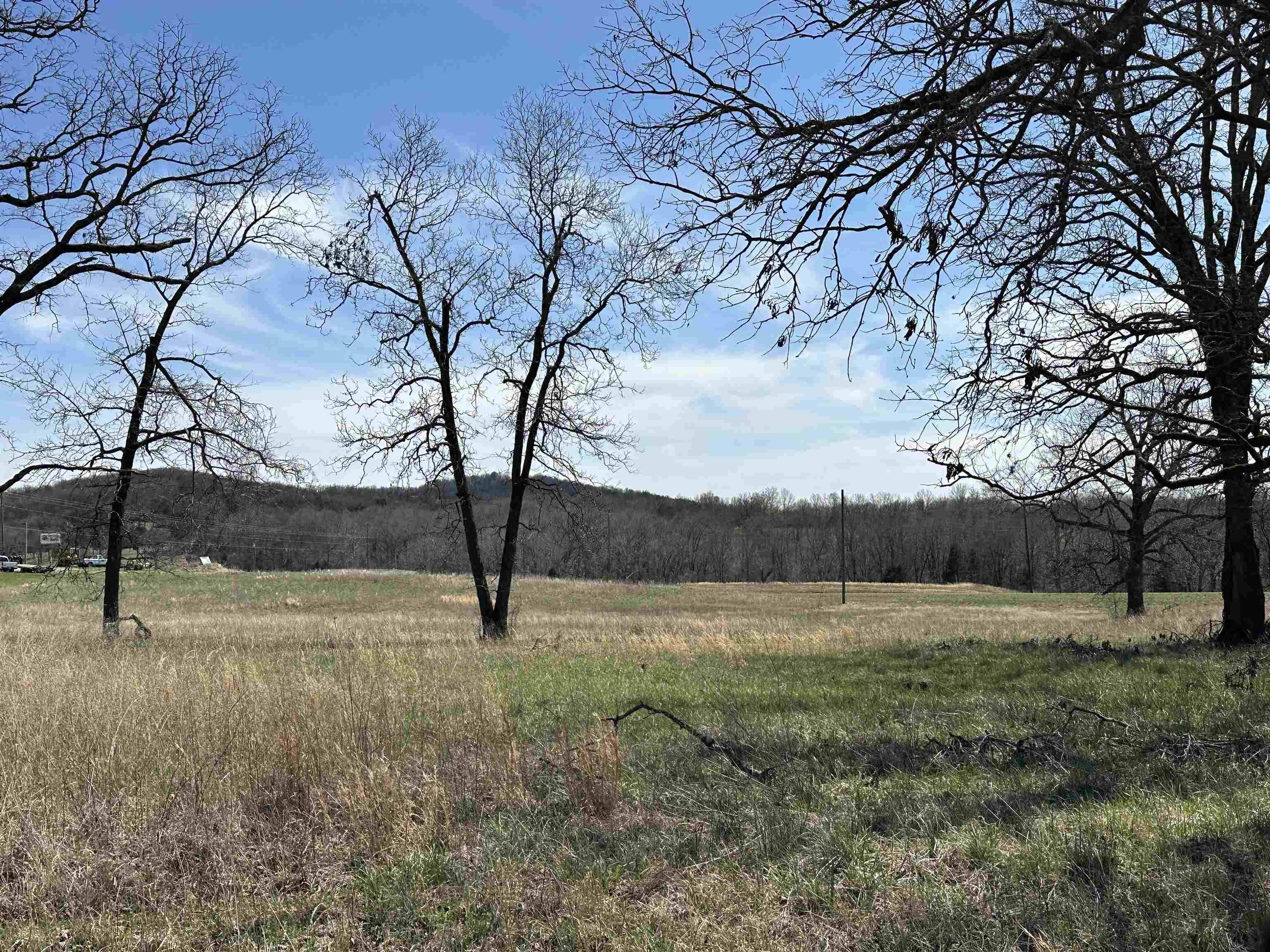 Yellville, AR 72687,Lot 1 Hwy 62