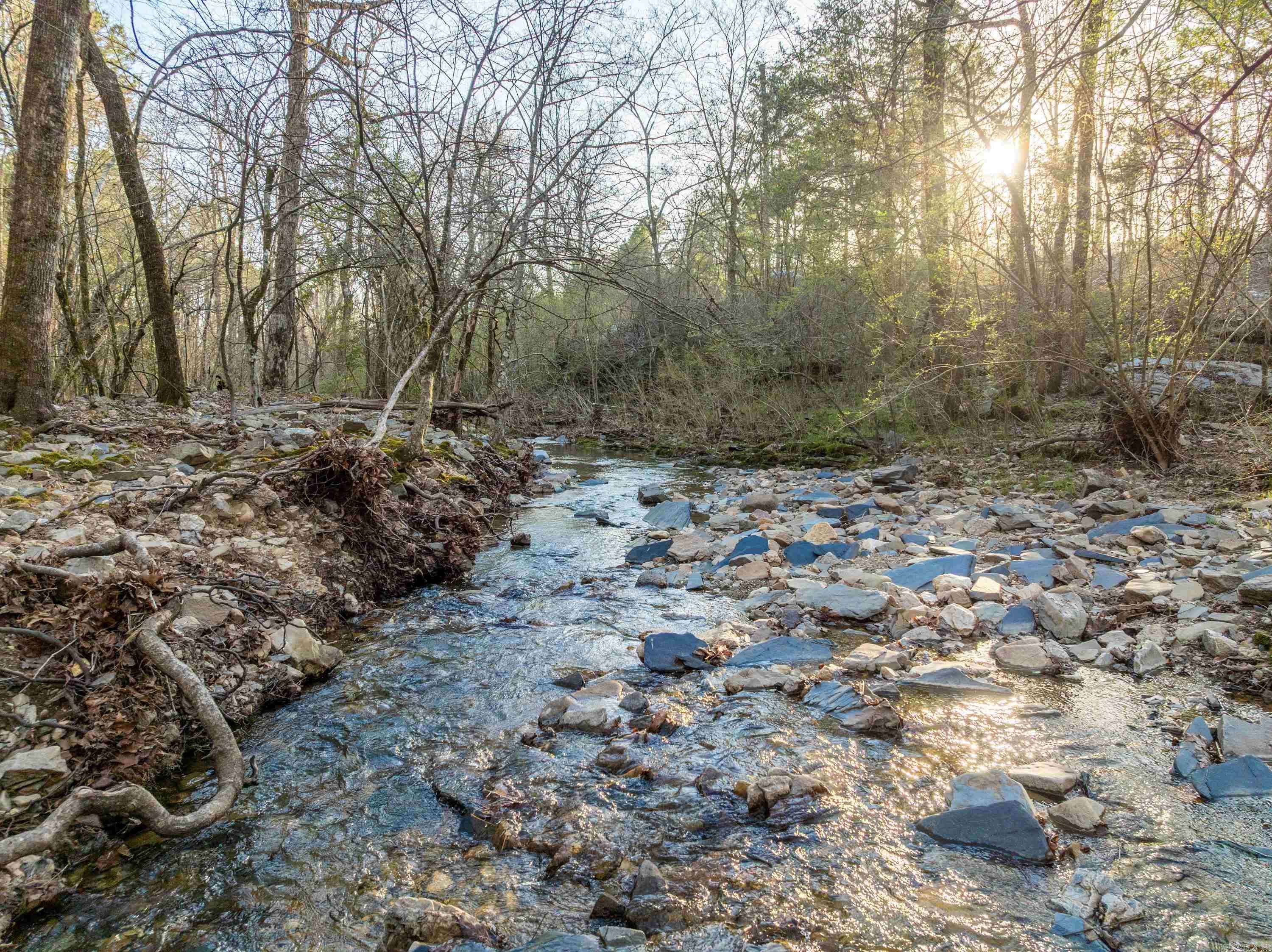 Hot Springs, AR 71901,TBD Cedar Creek Road