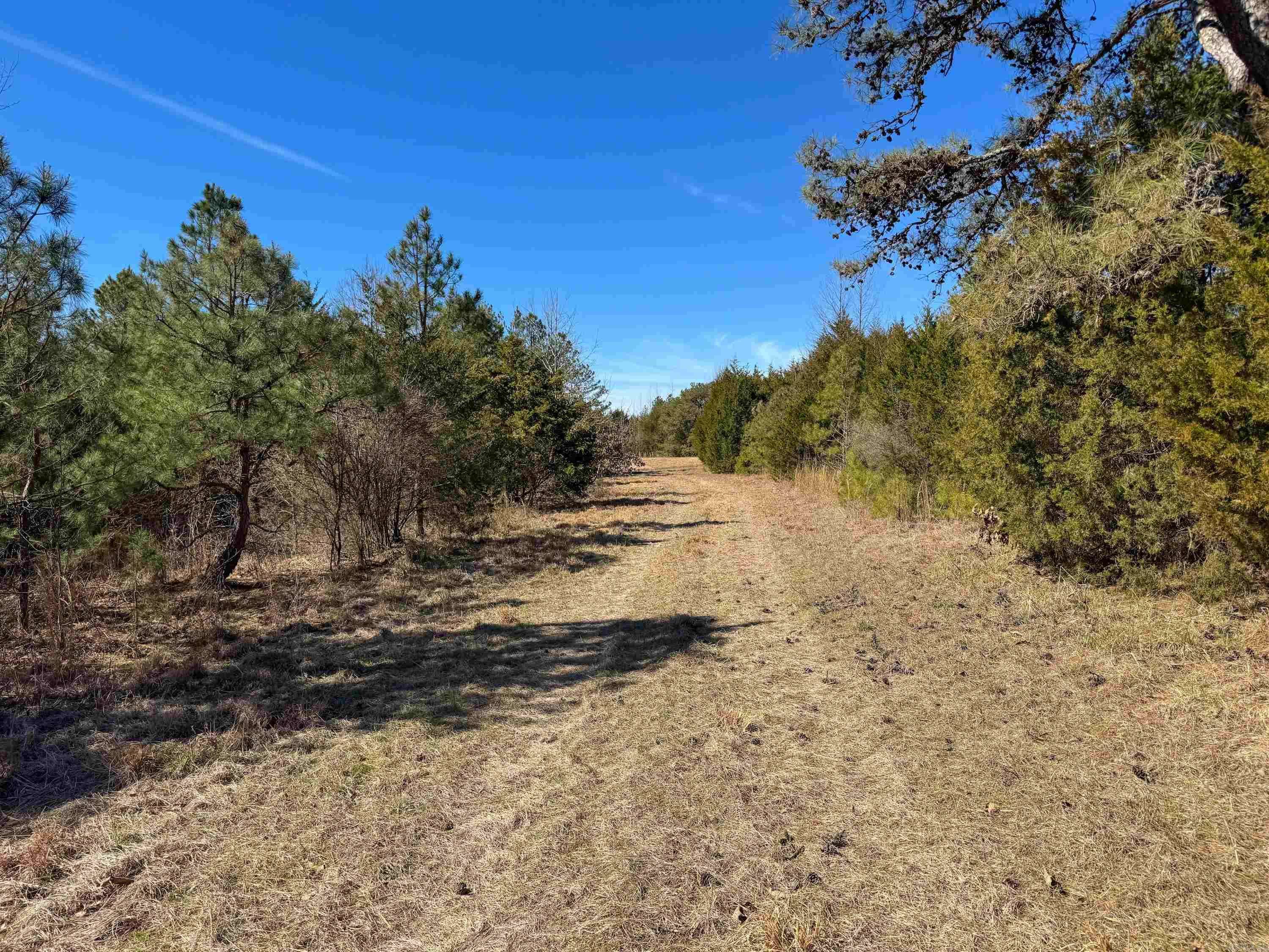 Bee Branch, AR 72013,1461 Fairbanks Road