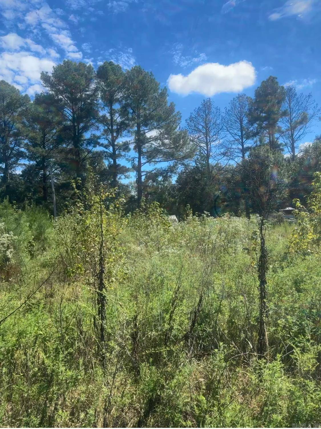 Lonoke, AR 72086,Address not disclosed