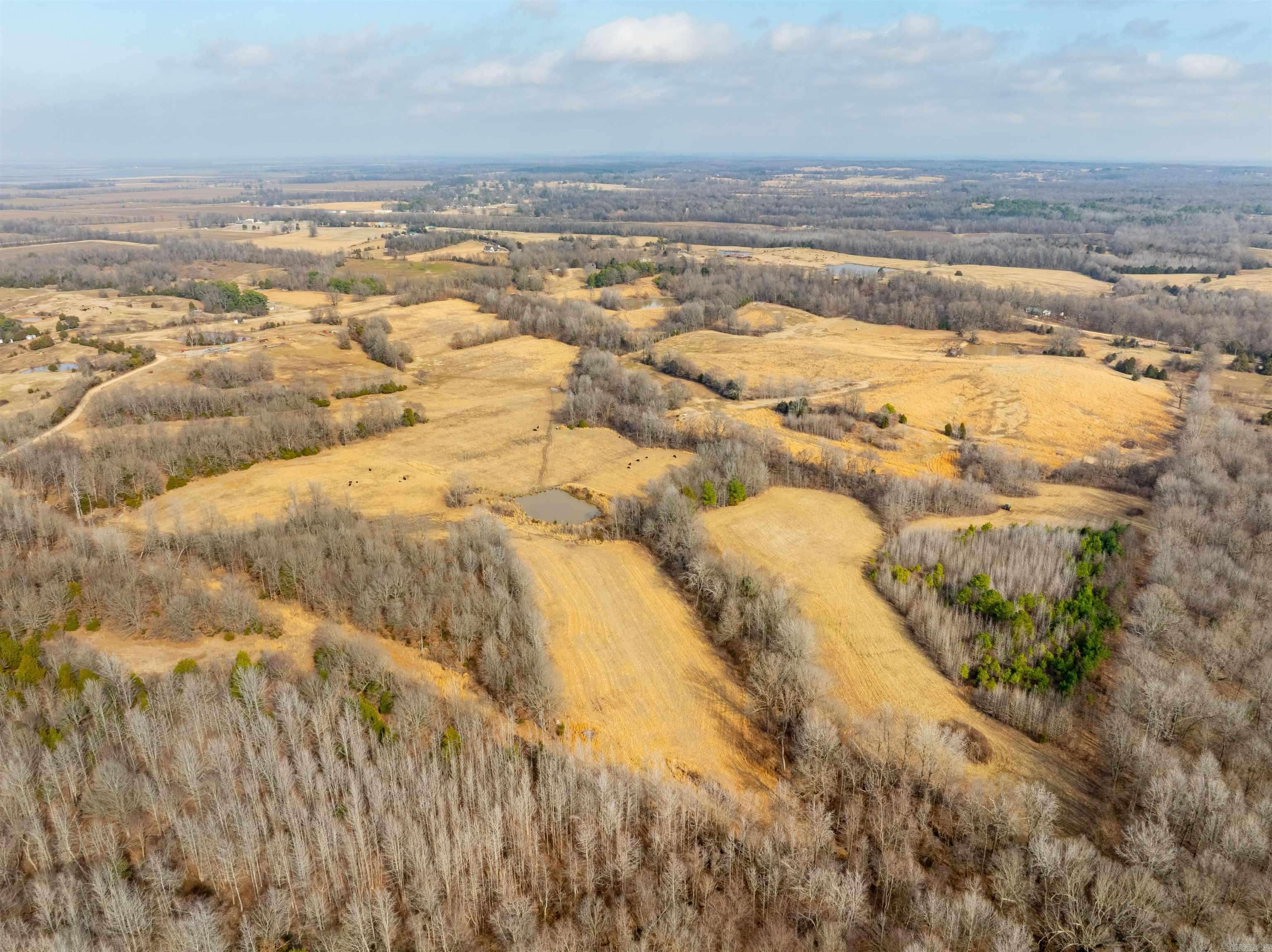 Piggott, AR 72454,0 Clay 460 Rd