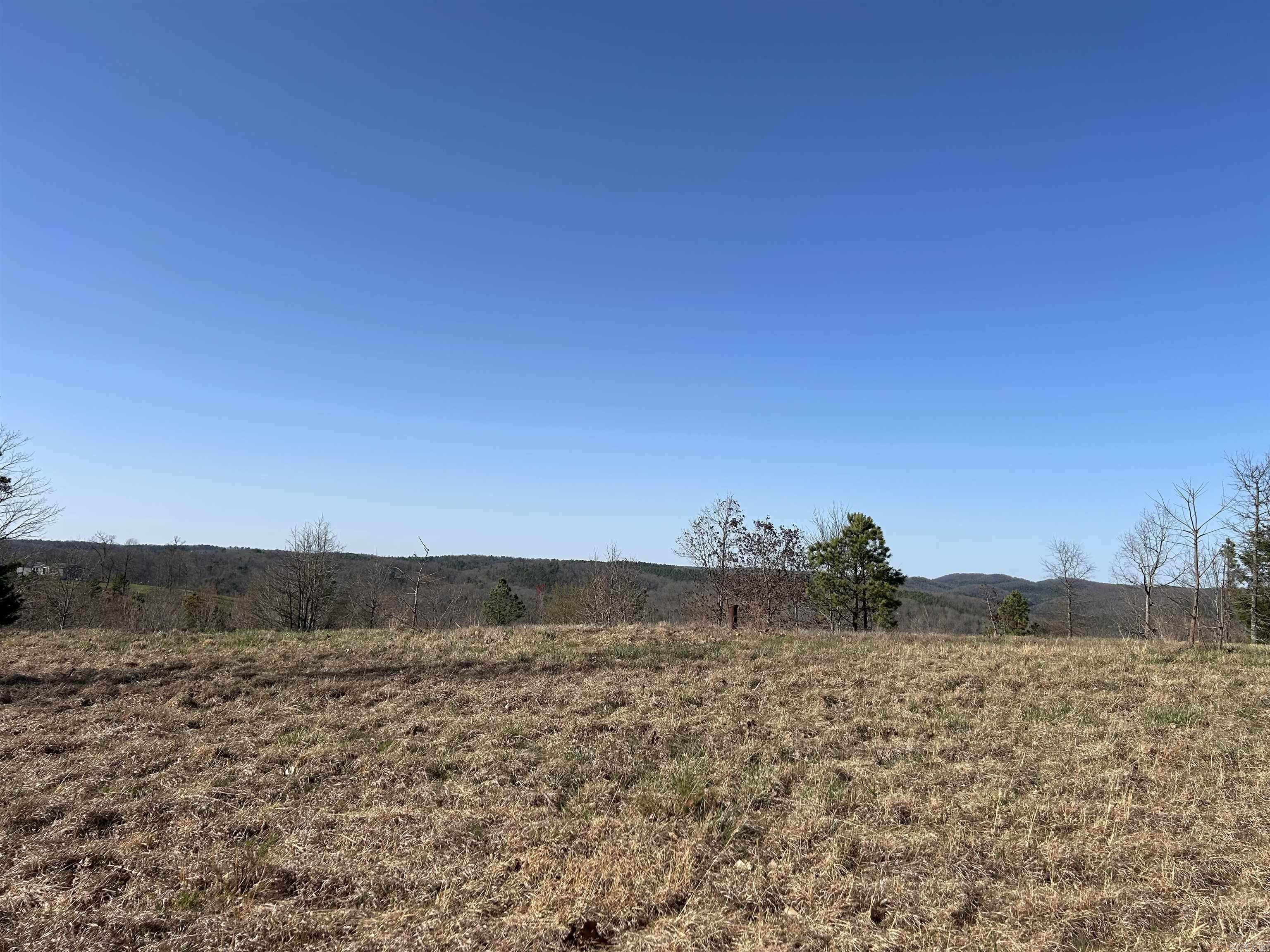 Mountain View, AR 72560,Tract 2 The Blessing 3.47 acres