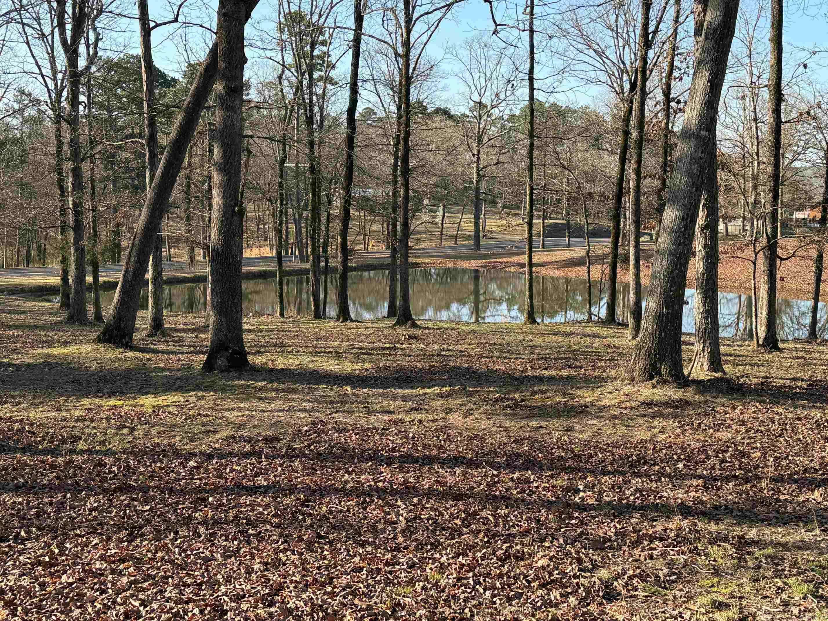 Mena, AR 71953,TBD S HWY 71  LOT #2