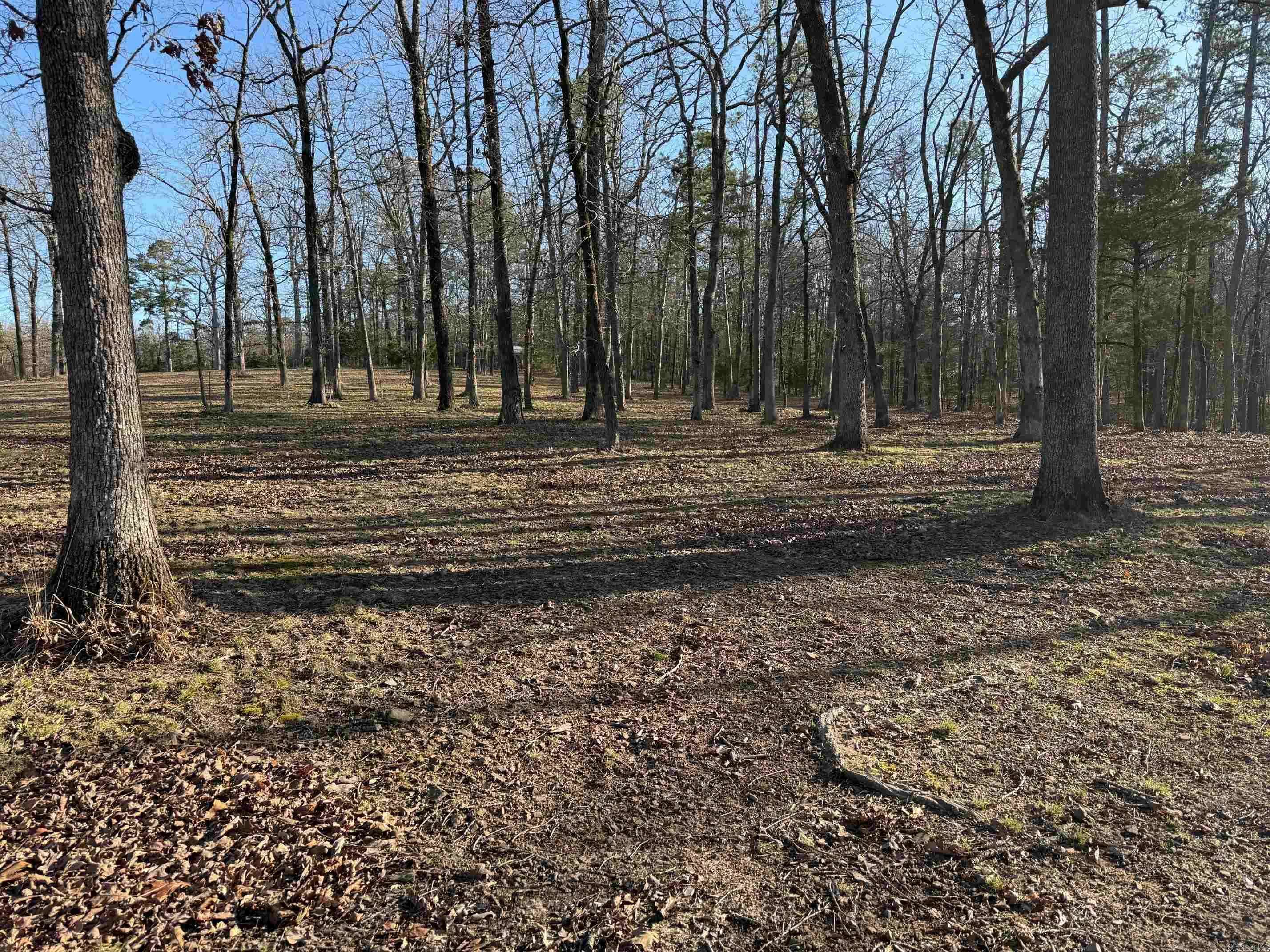 Mena, AR 71953,TBD S HWY 71  LOT #2