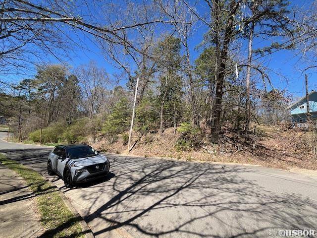 Hot Springs, AR 71901,XXX Amber Street