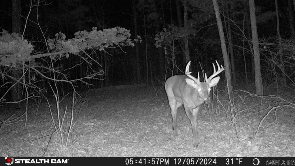 Clinton, AR 72031,4429 Oyler Road