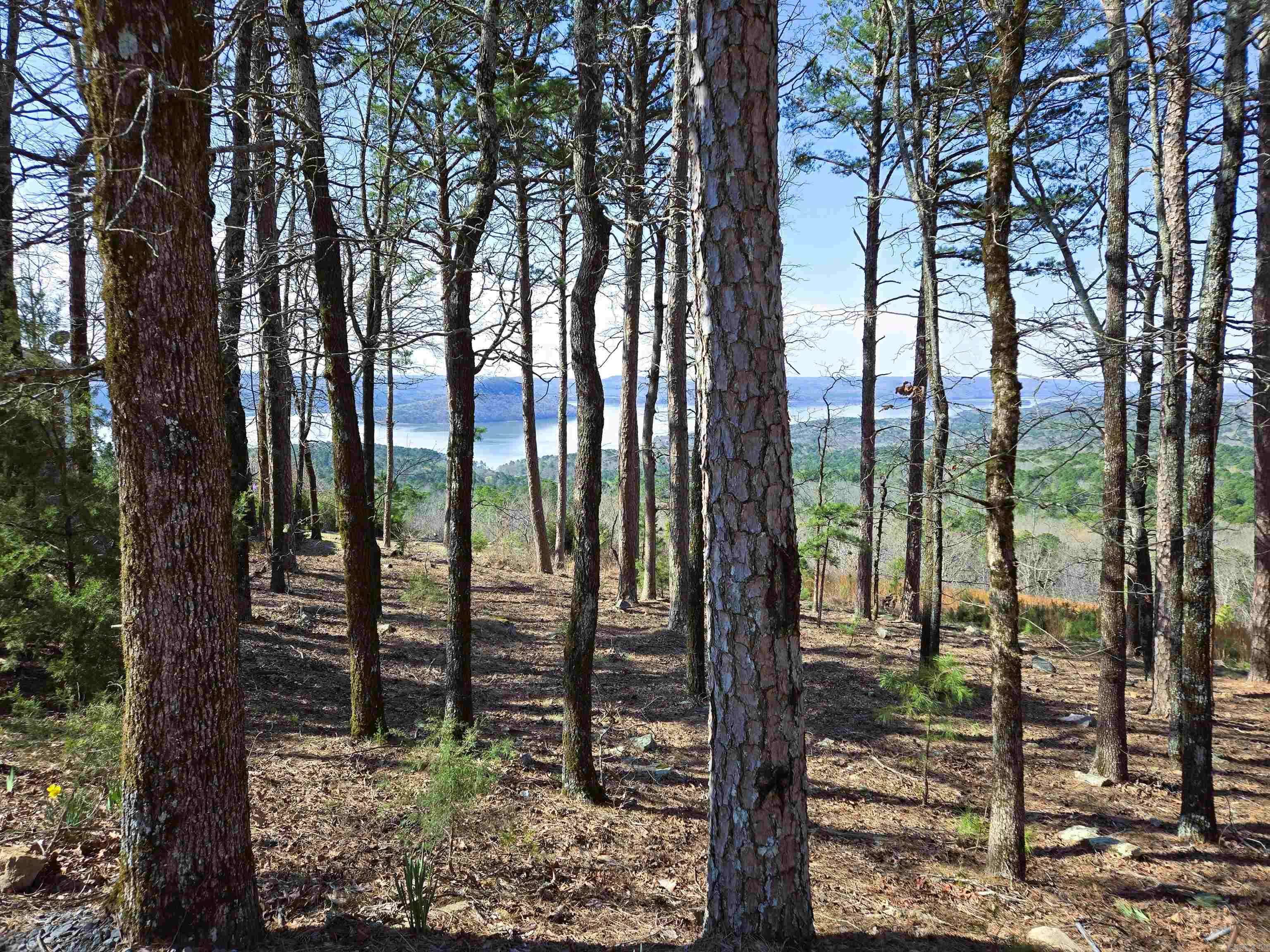 Fairfield Bay, AR 72088,Edgle Ridge Trace