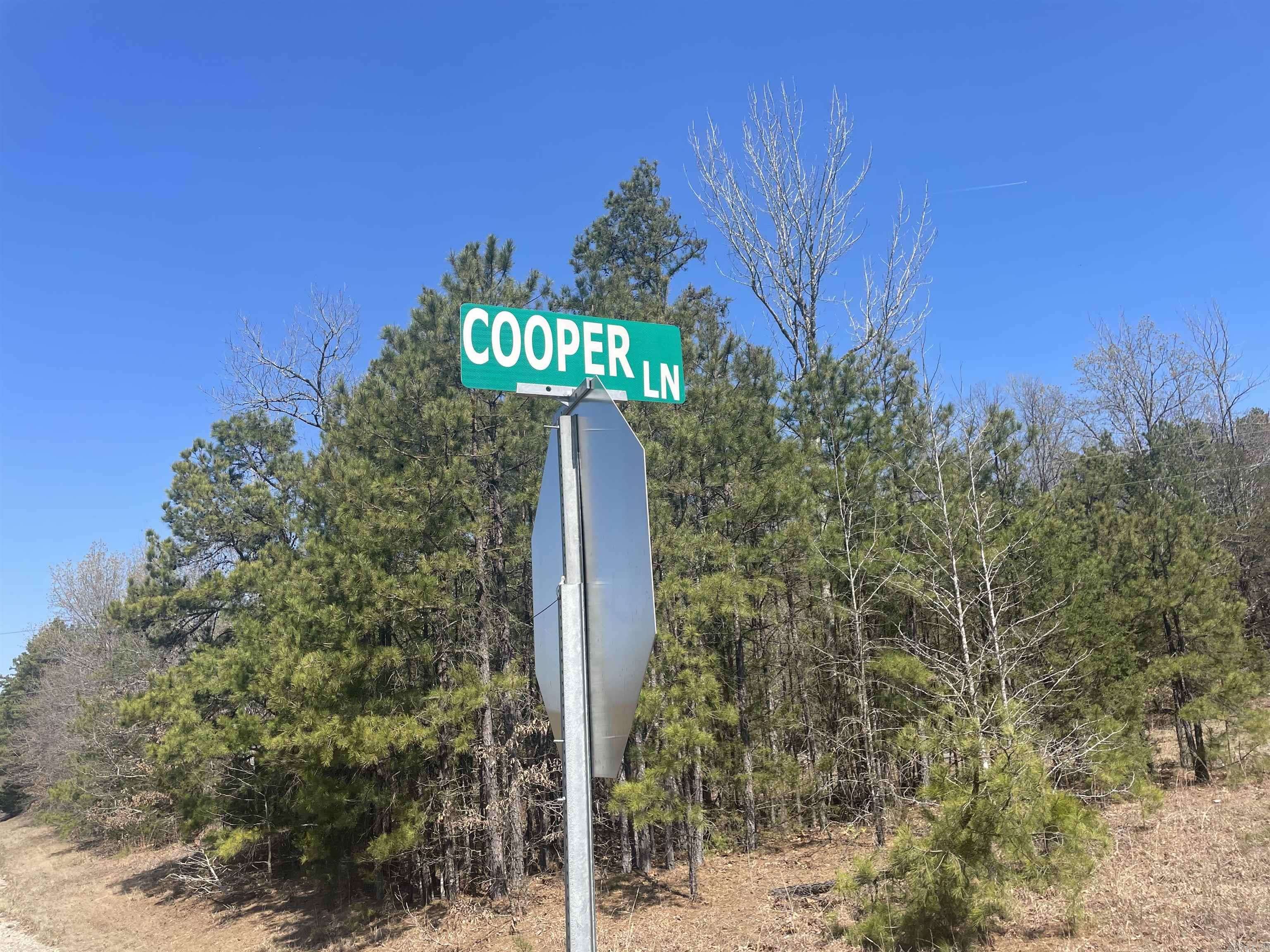 Quitman, AR 72131,0 Cooper Lane