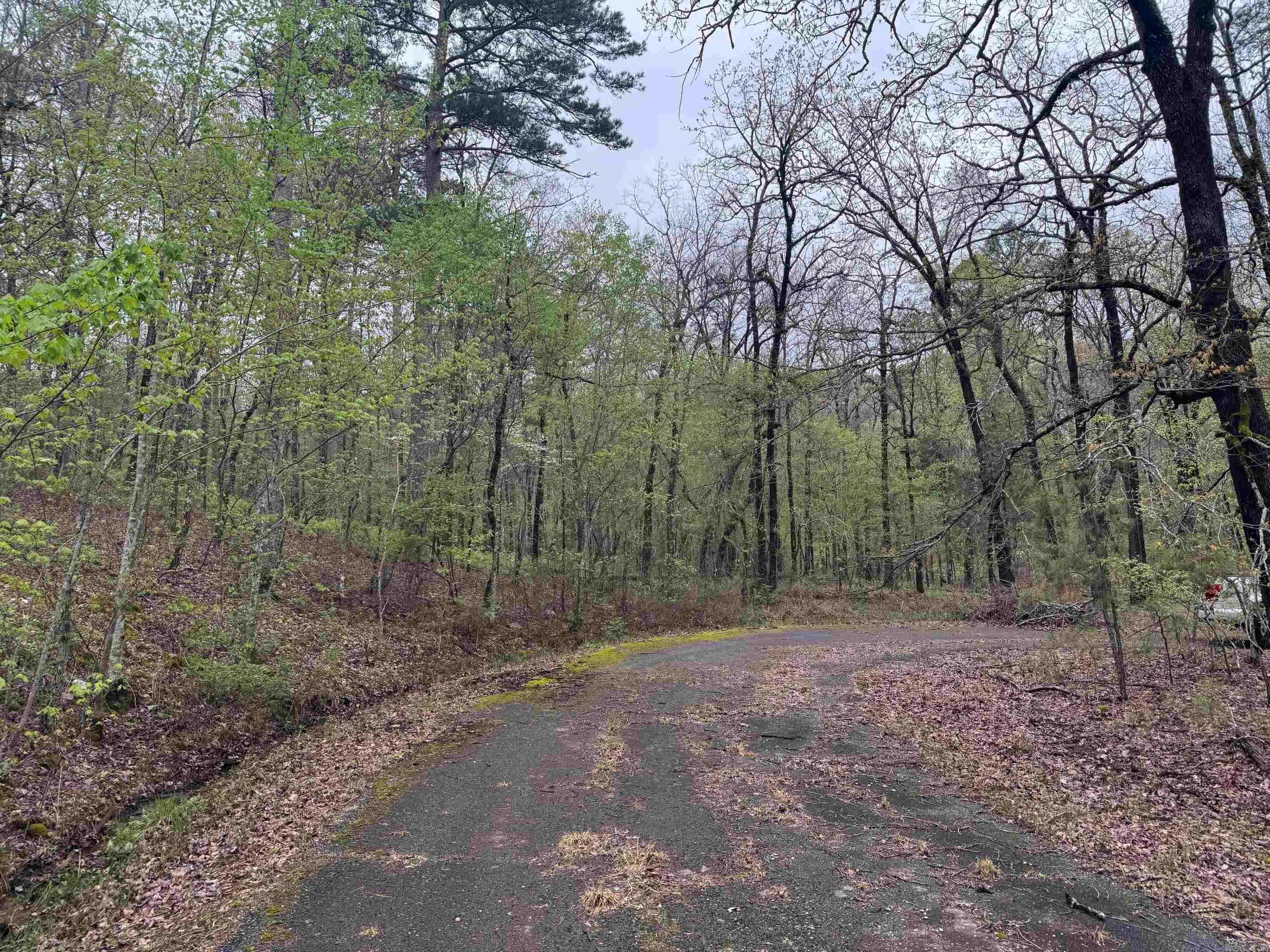 Hot Springs Village, AR 71909,11 TAZON LANE