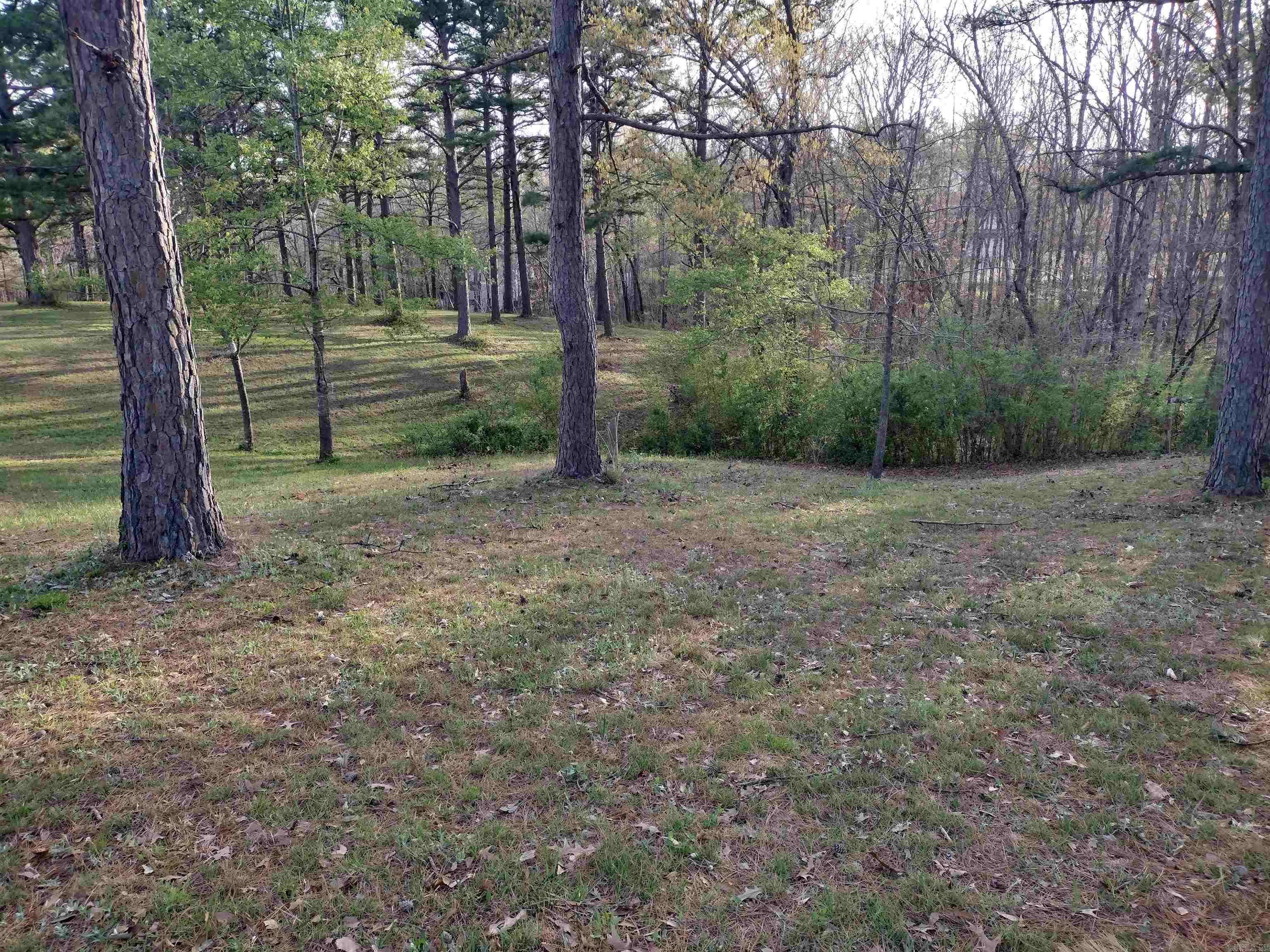 Mountain View, AR 72560,Lot 26 Tournament DR