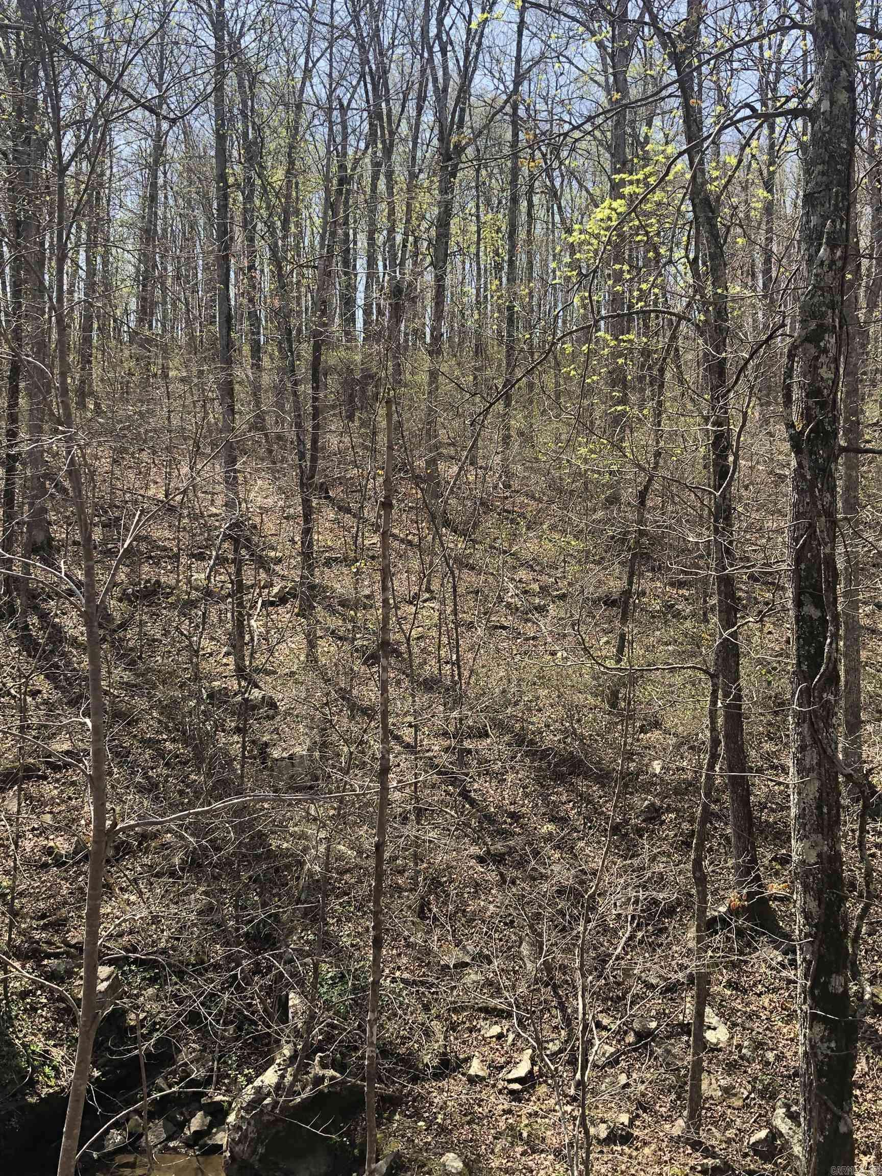 Shirley, AR 72153,0000 Lute Mountain Road
