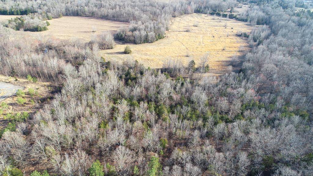 Greenbrier, AR 72058,00 Wildcat Hollow