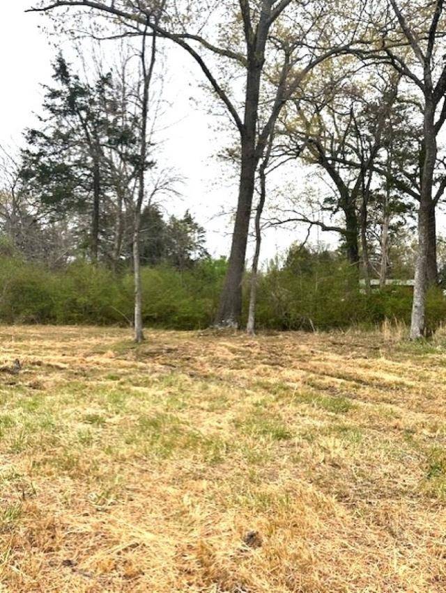 Mountain View, AR 72560,0 Frances Cove Street