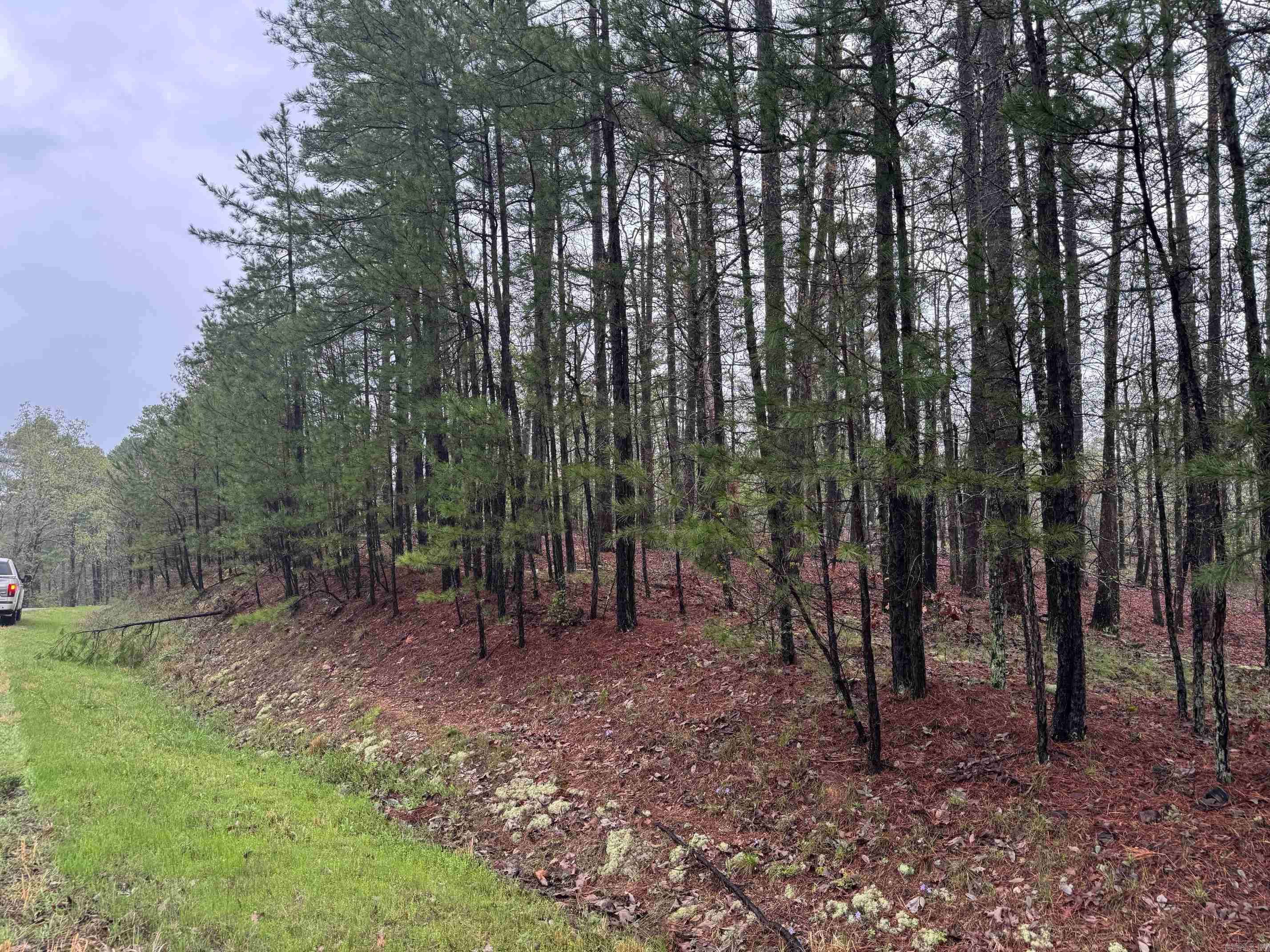 Hot Springs Village, AR 71909,7 BALBOA DRIVE