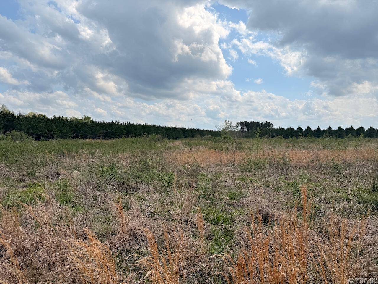Monticello, AR 71655,Hwy 172