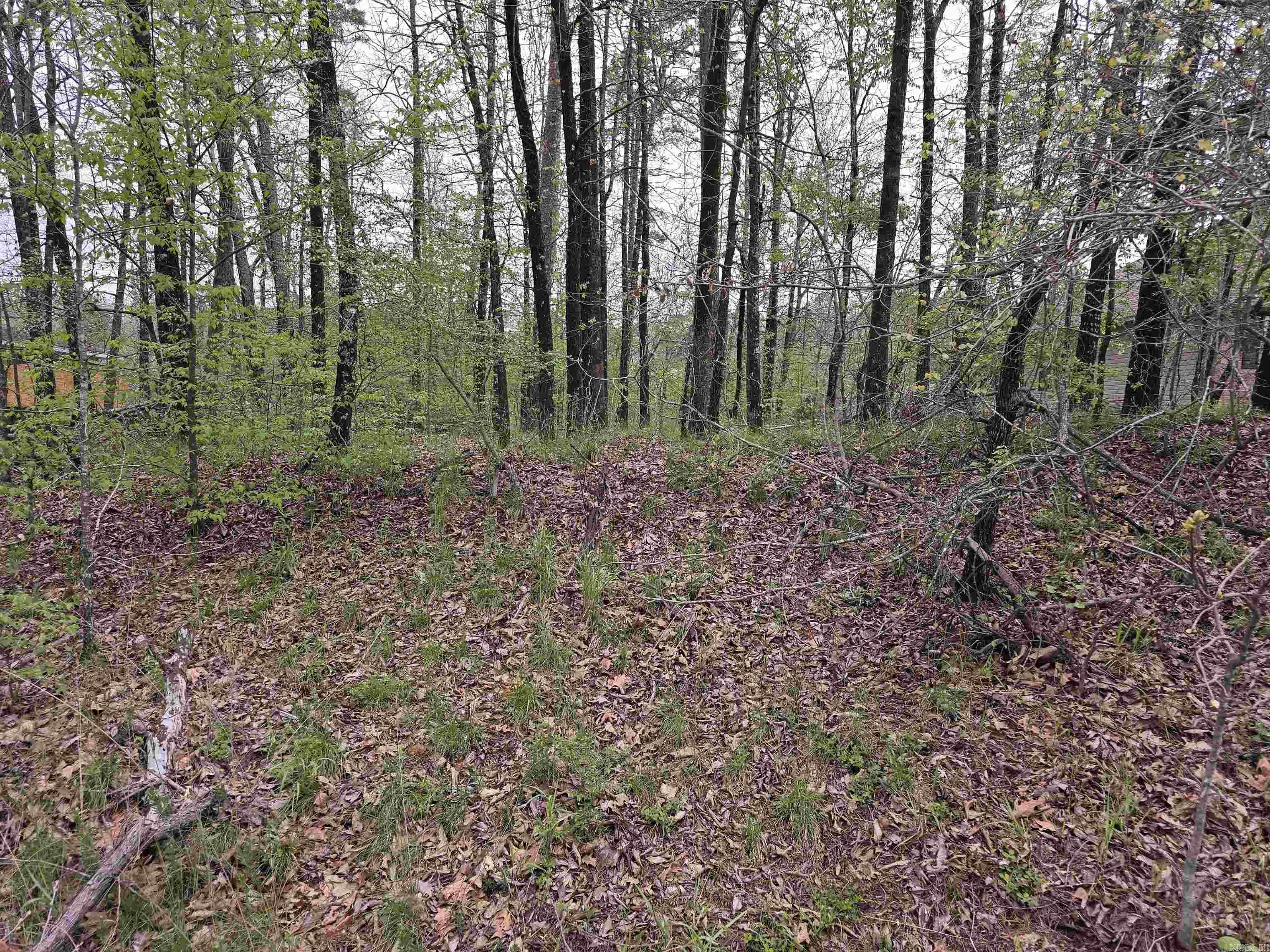 Hot Springs, AR 71913-0000,1806 Pebble Beach Drive