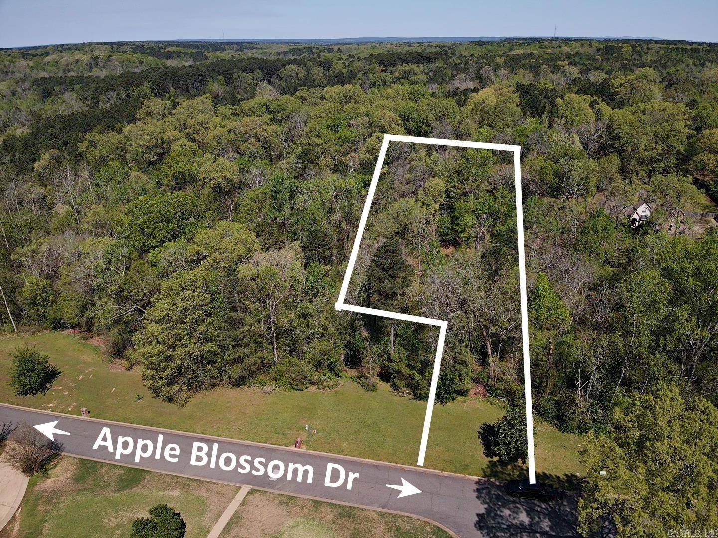 Arkadelphia, AR 71923,Lot 59 Apple Blossom Drive