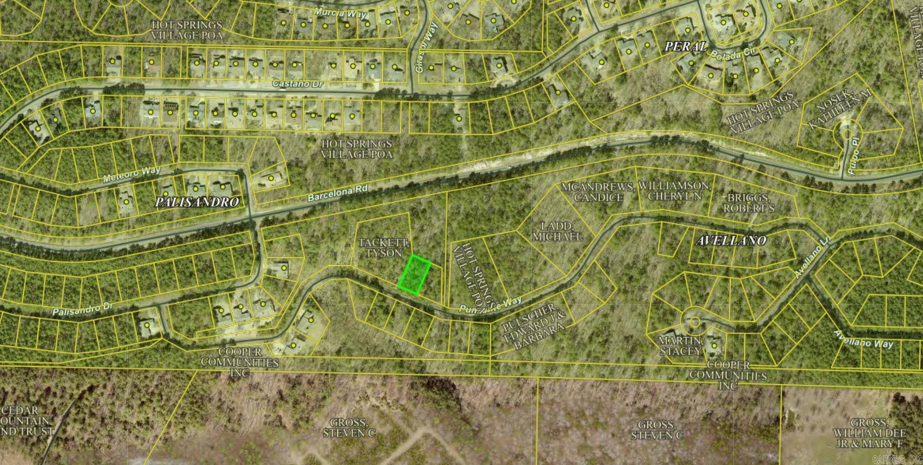 Hot Springs Village, AR 71909,Punzante Way