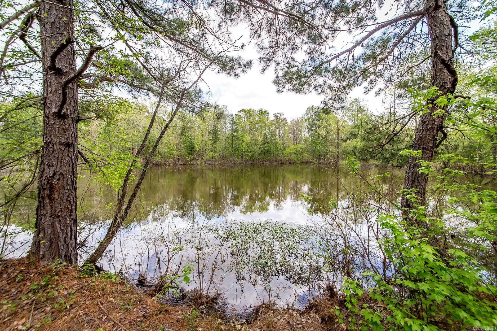 Lonsdale, AR 72087,Address not disclosed