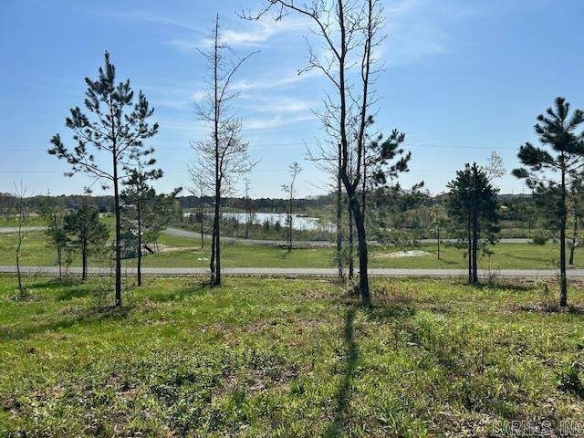 Hot Springs, AR 71901,Lot 14 Barking Squirrel