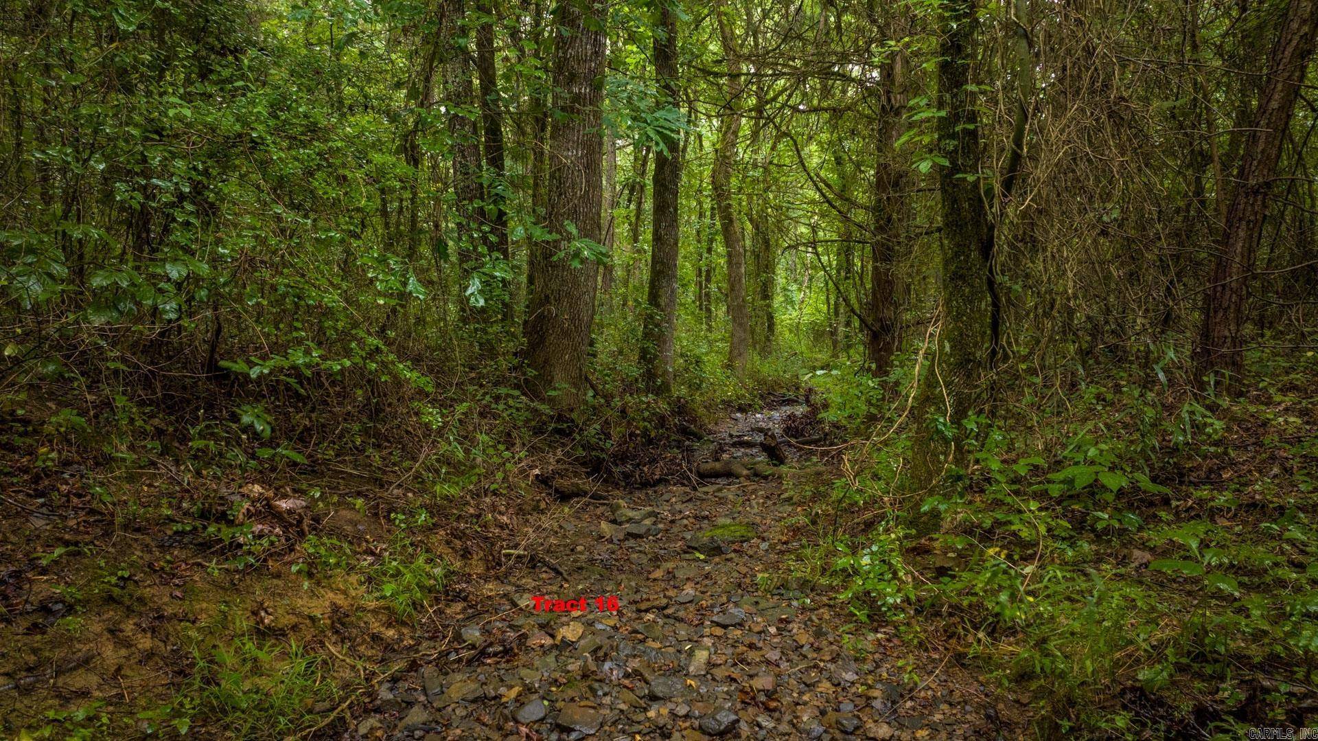 Greenbrier, AR 72058,Tracts 15 & 16 Wilderness Road