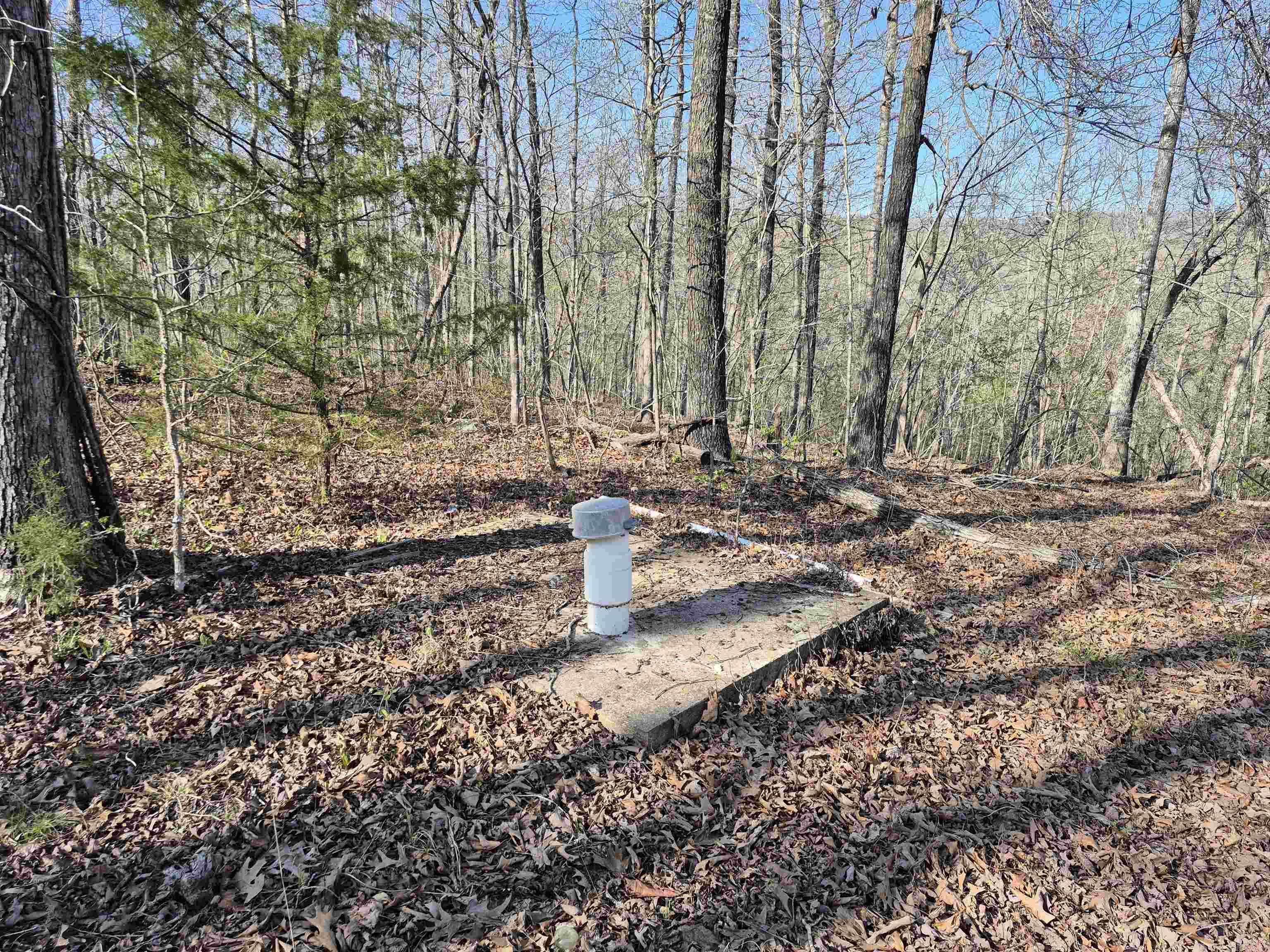 Marshall, AR 72650,255 Unbreakable RD